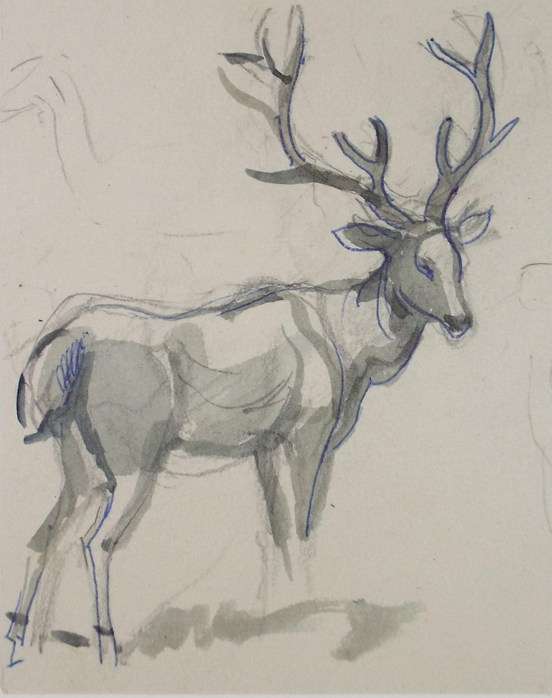 Original Ink & wash, 'Deer Study', Circa 1950's