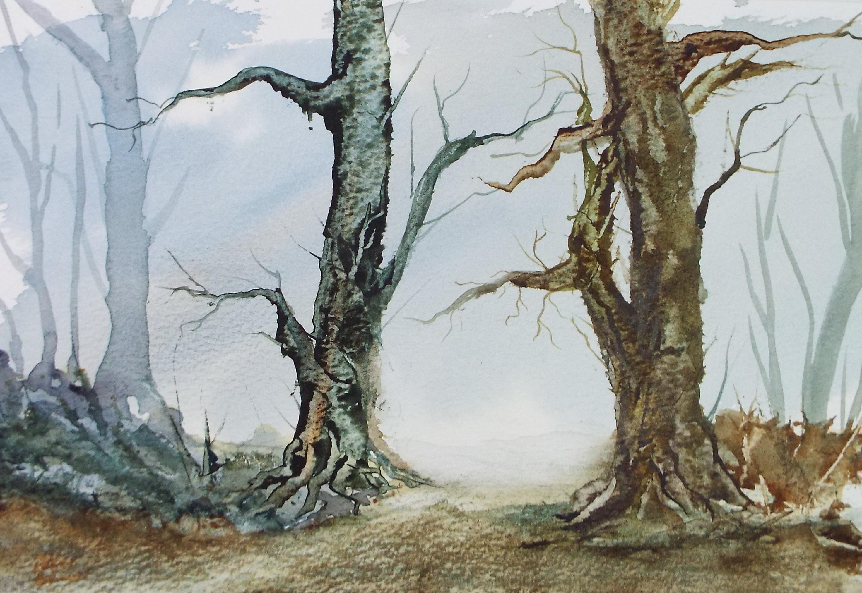 Original Watercolour, 'A Study of Trees', Peter Grimer, Circa 1990's