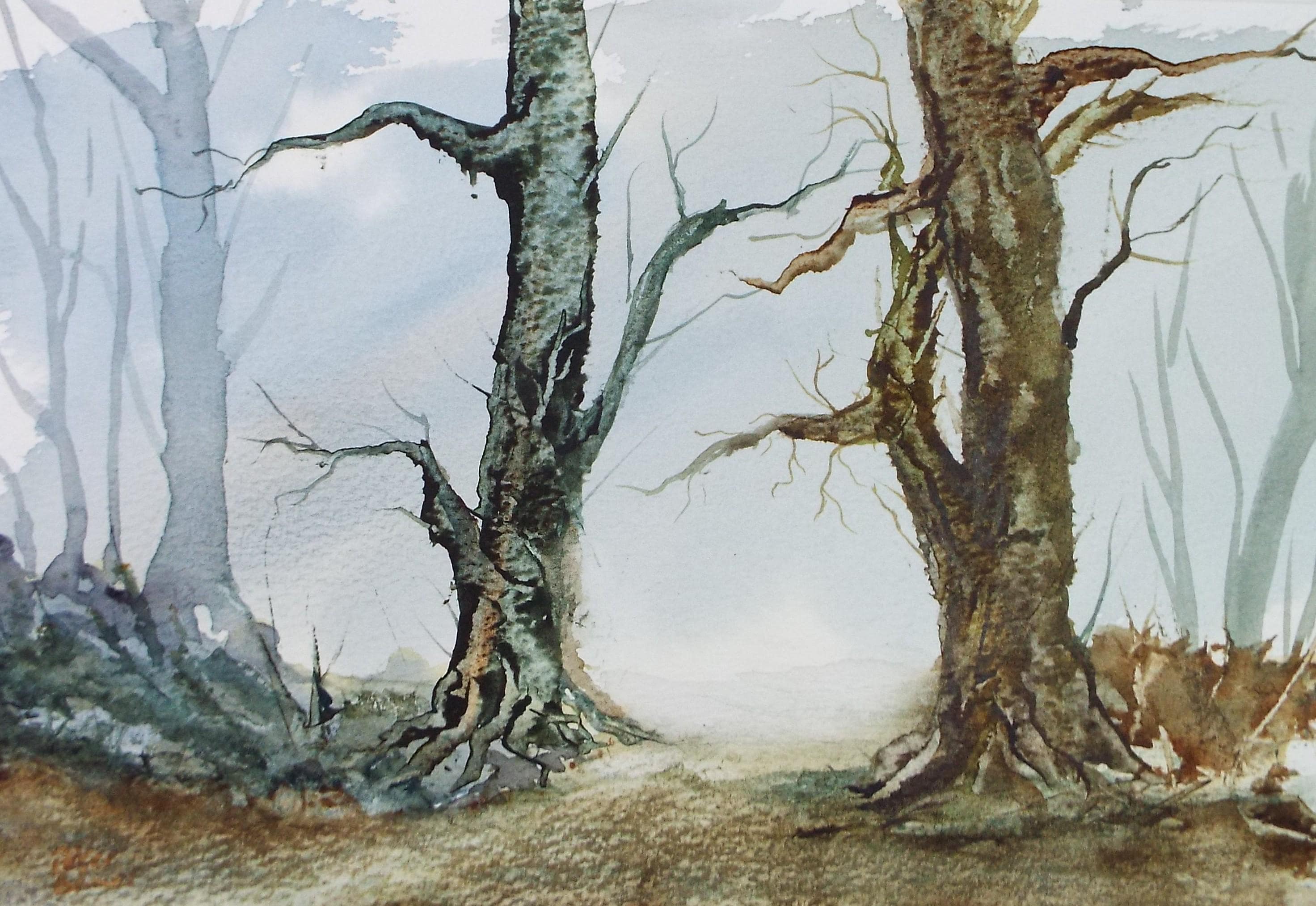 Original Watercolour, 'A Study of Trees', Peter Grimer, Circa 1990's