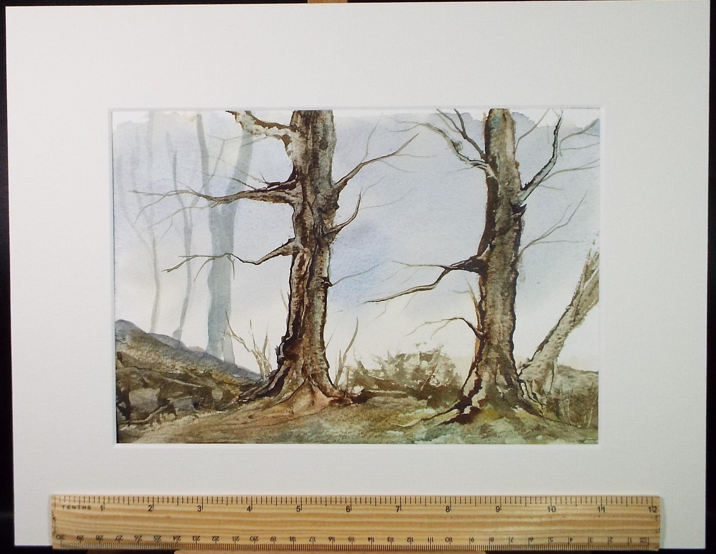 Original Watercolour, 'A Study of Trees', Peter Grimer, Dated 1992