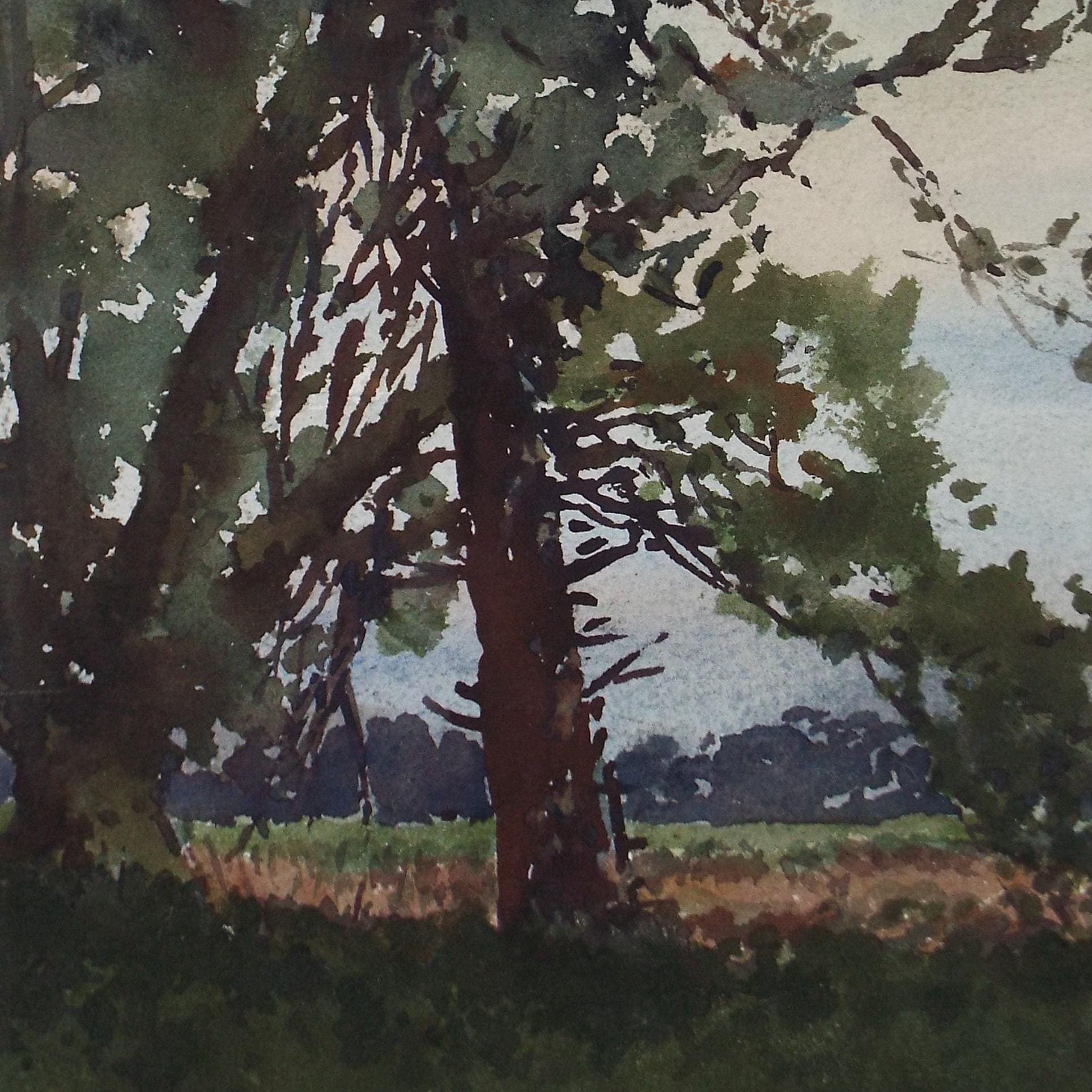 Original Watercolour, 'Tree Study', Henry Potter Stevens (1875-1965) Circa 1950's