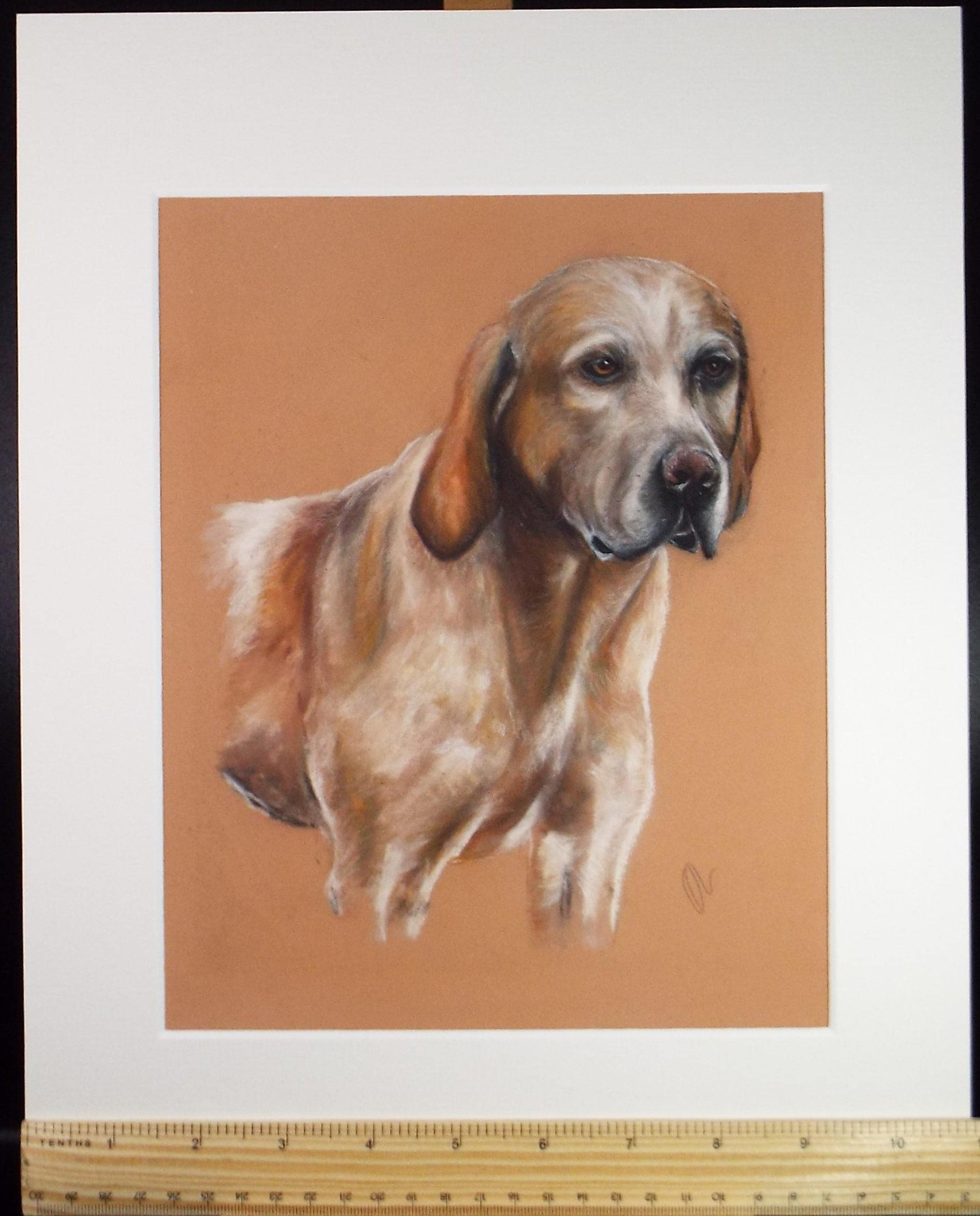 Original Pastel, 'Study of a Labrador', Artist Unknown, Circa 1980's