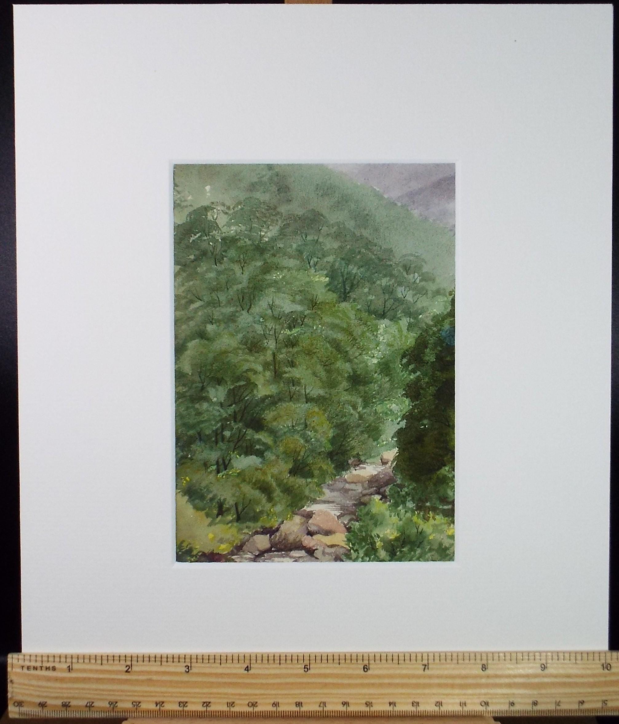 Original Watercolour, 'Green Landscape', Unknown artist, Late 19th Century