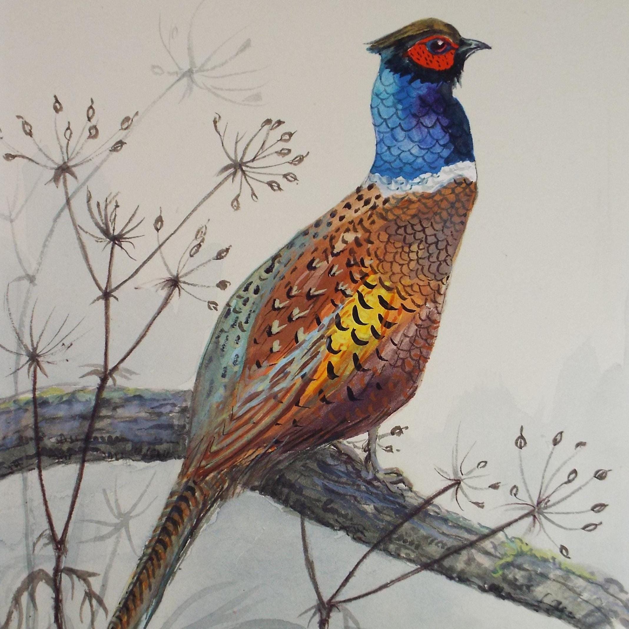 Original watercolour, 'Pheasant', Circa 1970's, W. Brewer