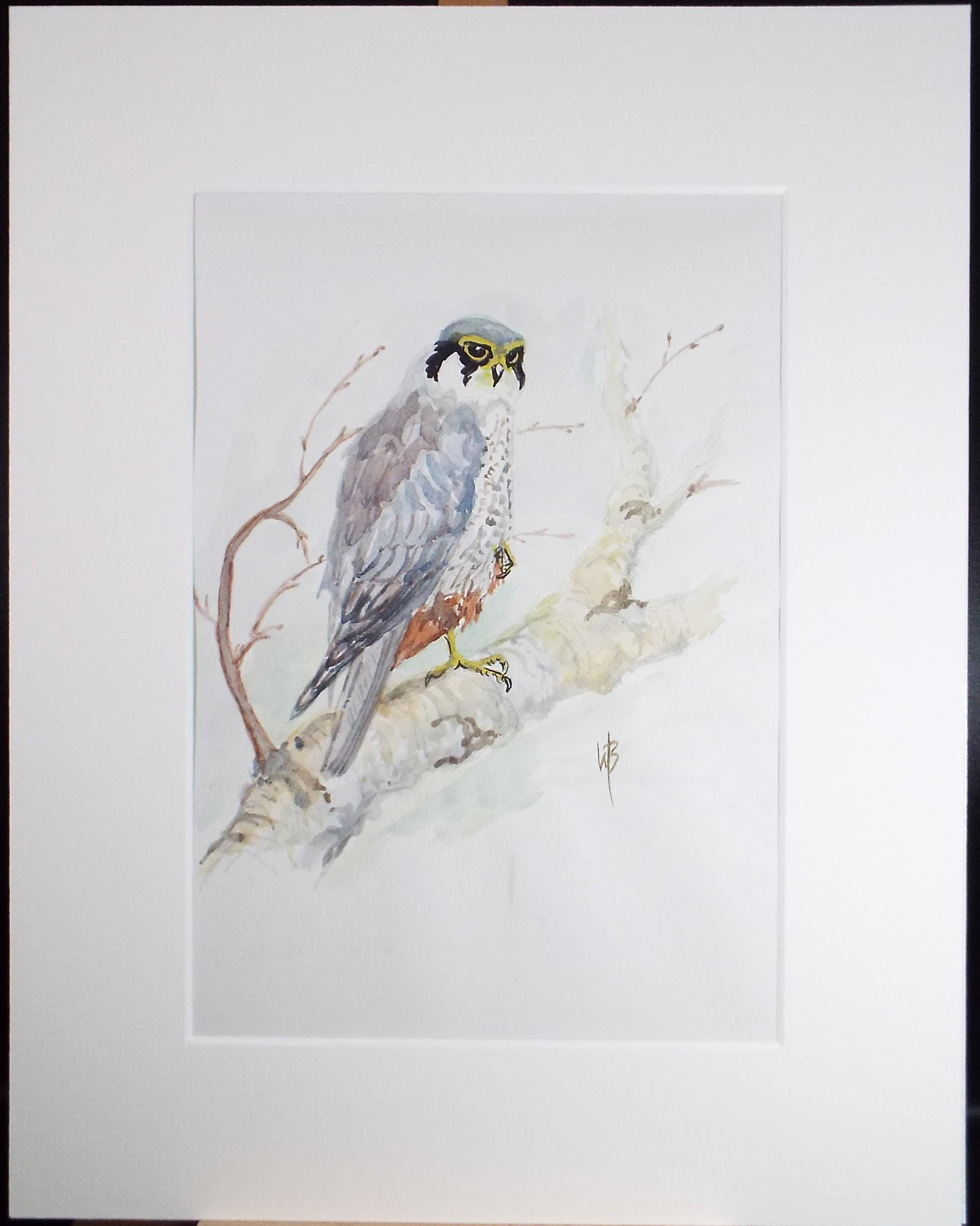 Original watercolour, 'Hobby', Circa 1970's, W. Brewer