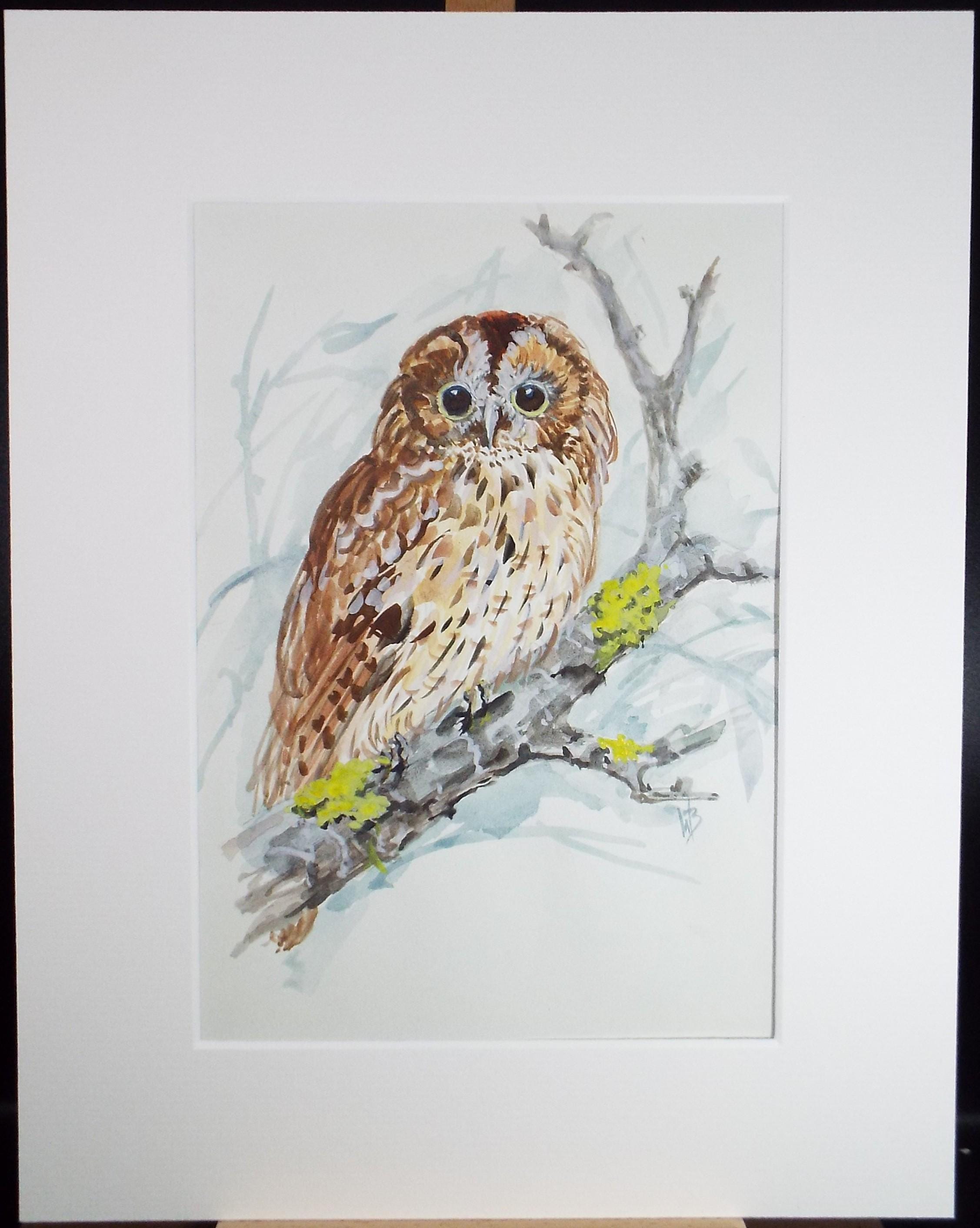 Original watercolour,'Tawny Owl', Circa 1970's, W. Brewer