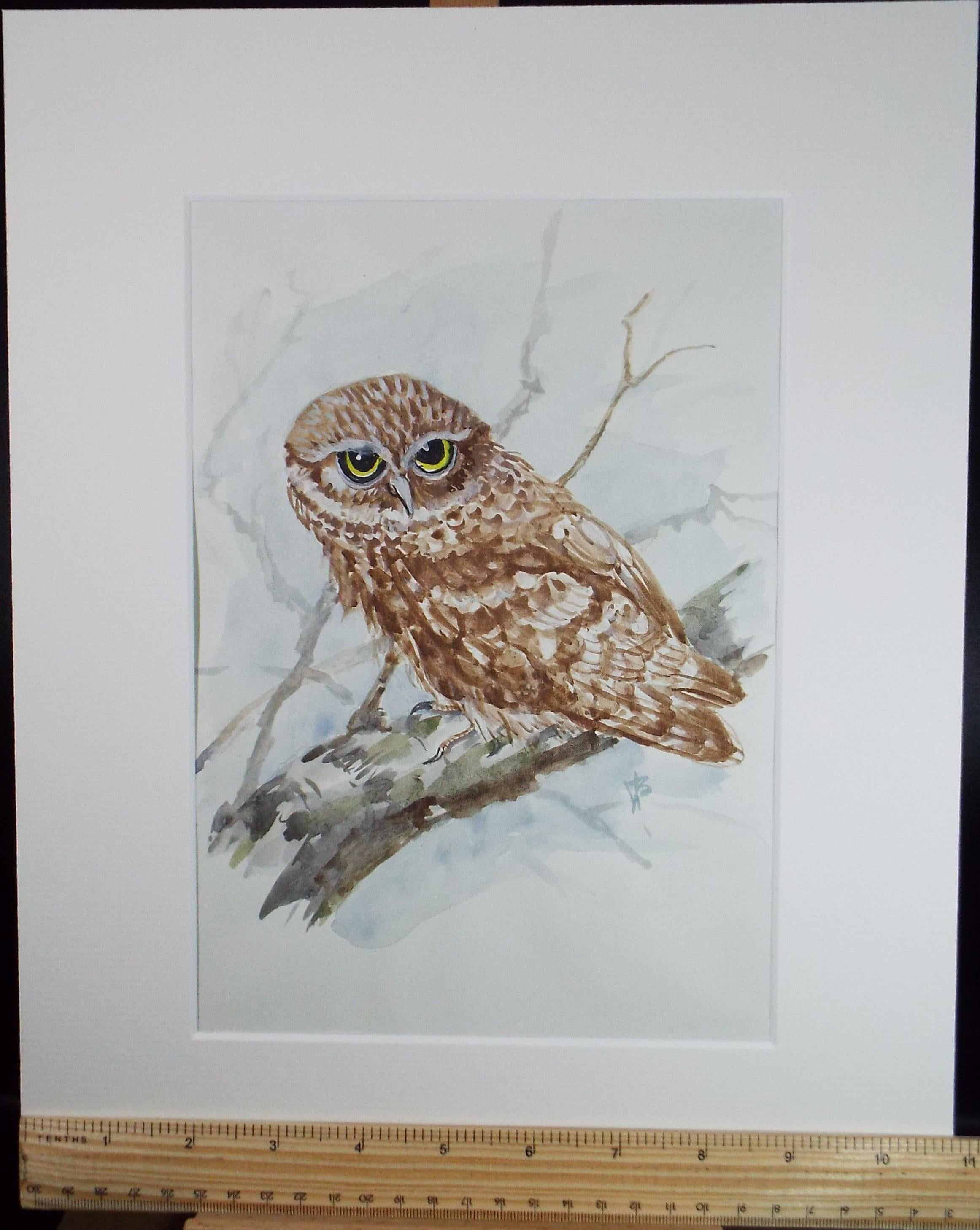 Original watercolour,'Little Owl', Circa 1970's, W. Brewer