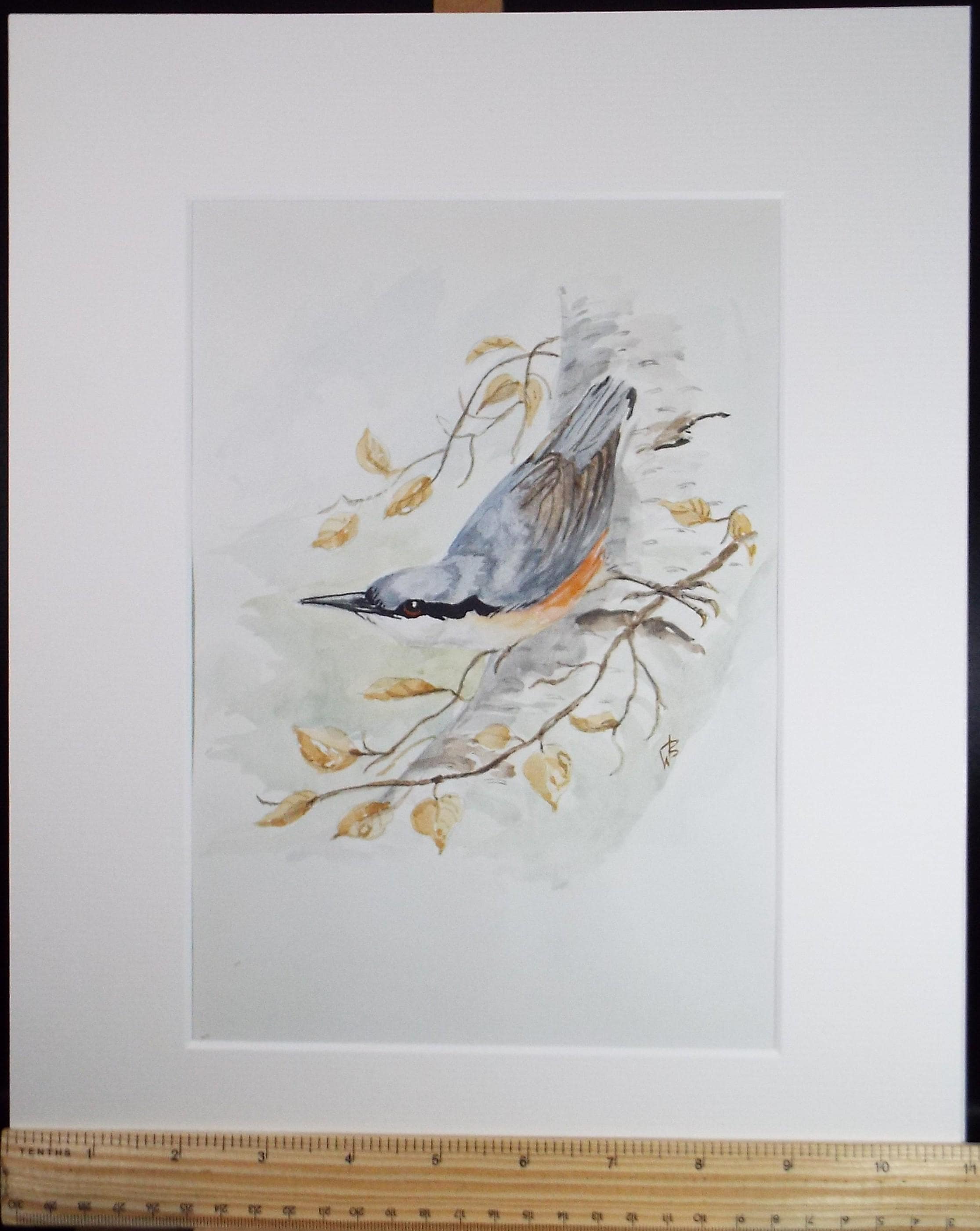Original watercolour, 'Nutchatch', Circa 1970's, W. Brewer