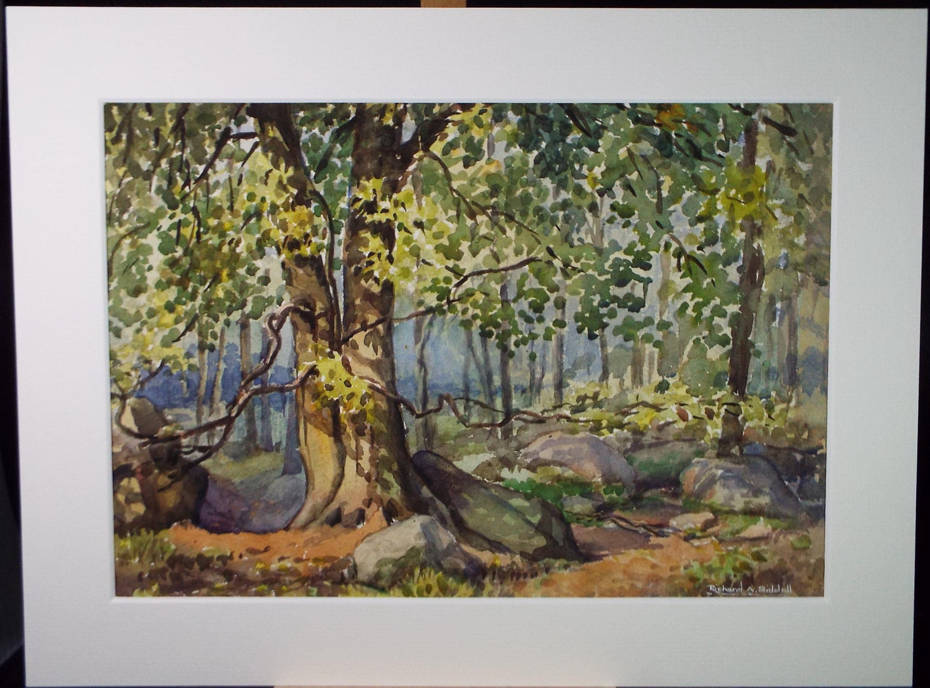 Original Watercolour, 'Woodland', Richard A Siddal, Dated 1953