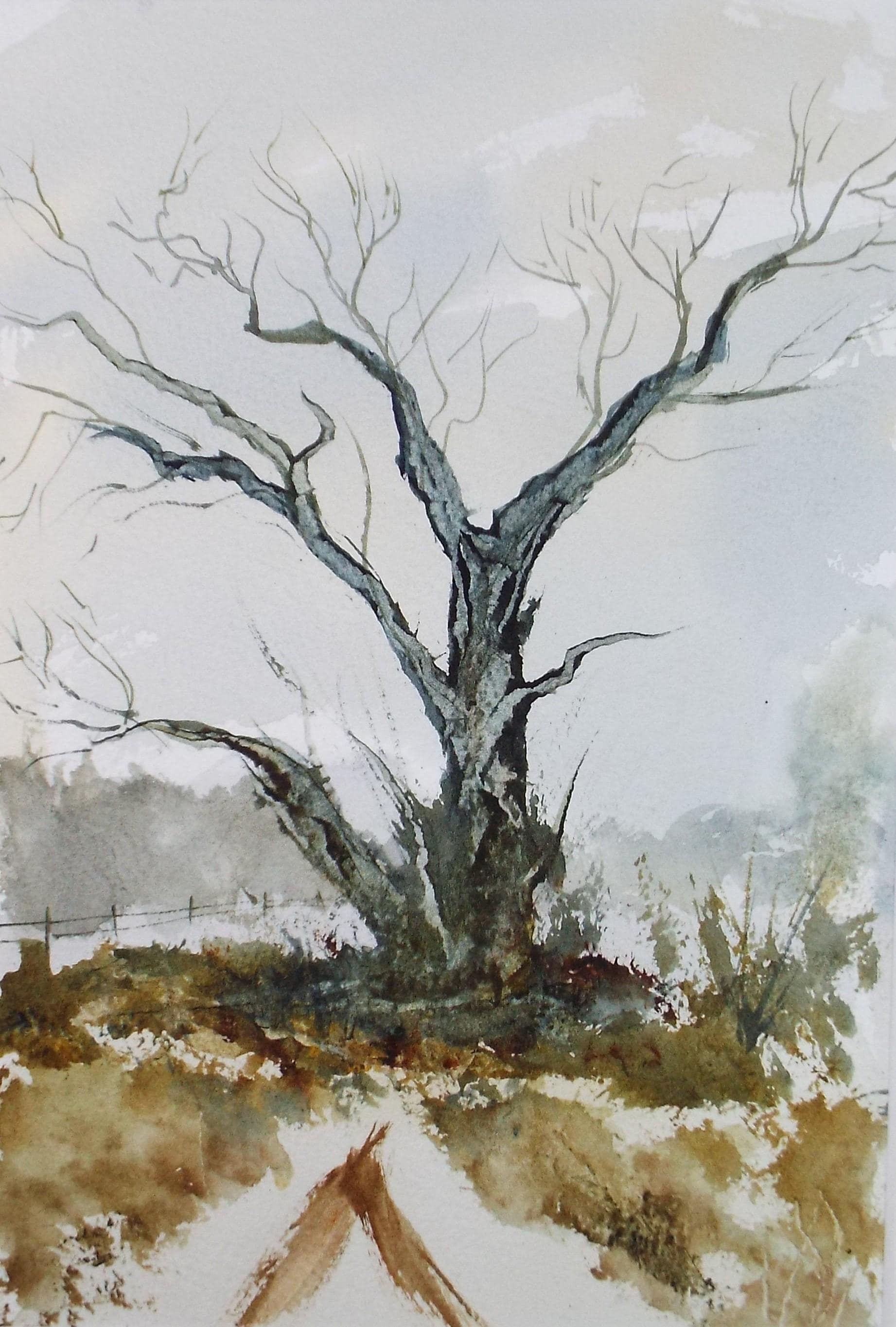 Original Watercolour, 'Tree Study', Peter Grimer, Circa 1990's