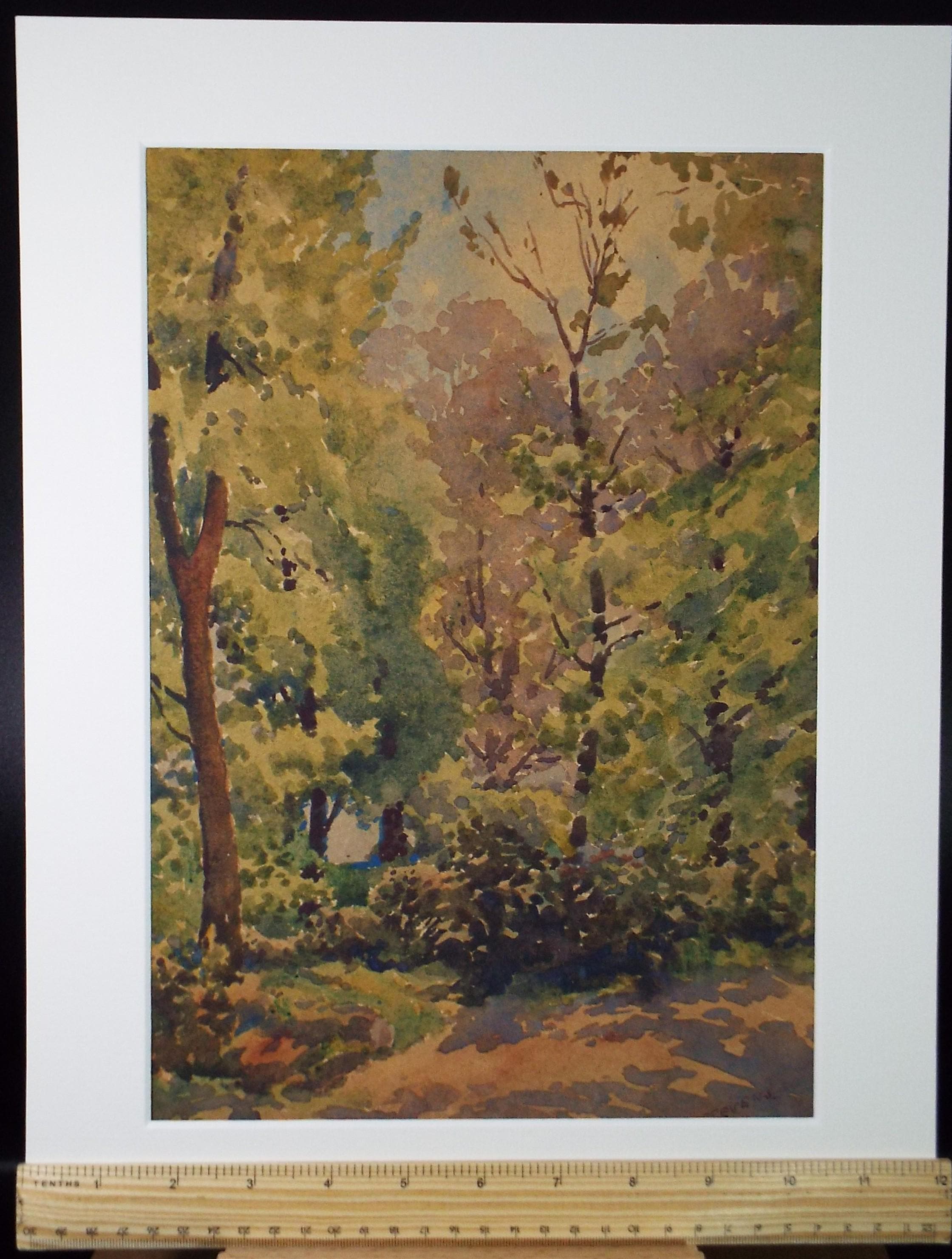 Original Watercolour, 'Woodland', Henry Potter Stevens (1875-1965) Circa 1950's