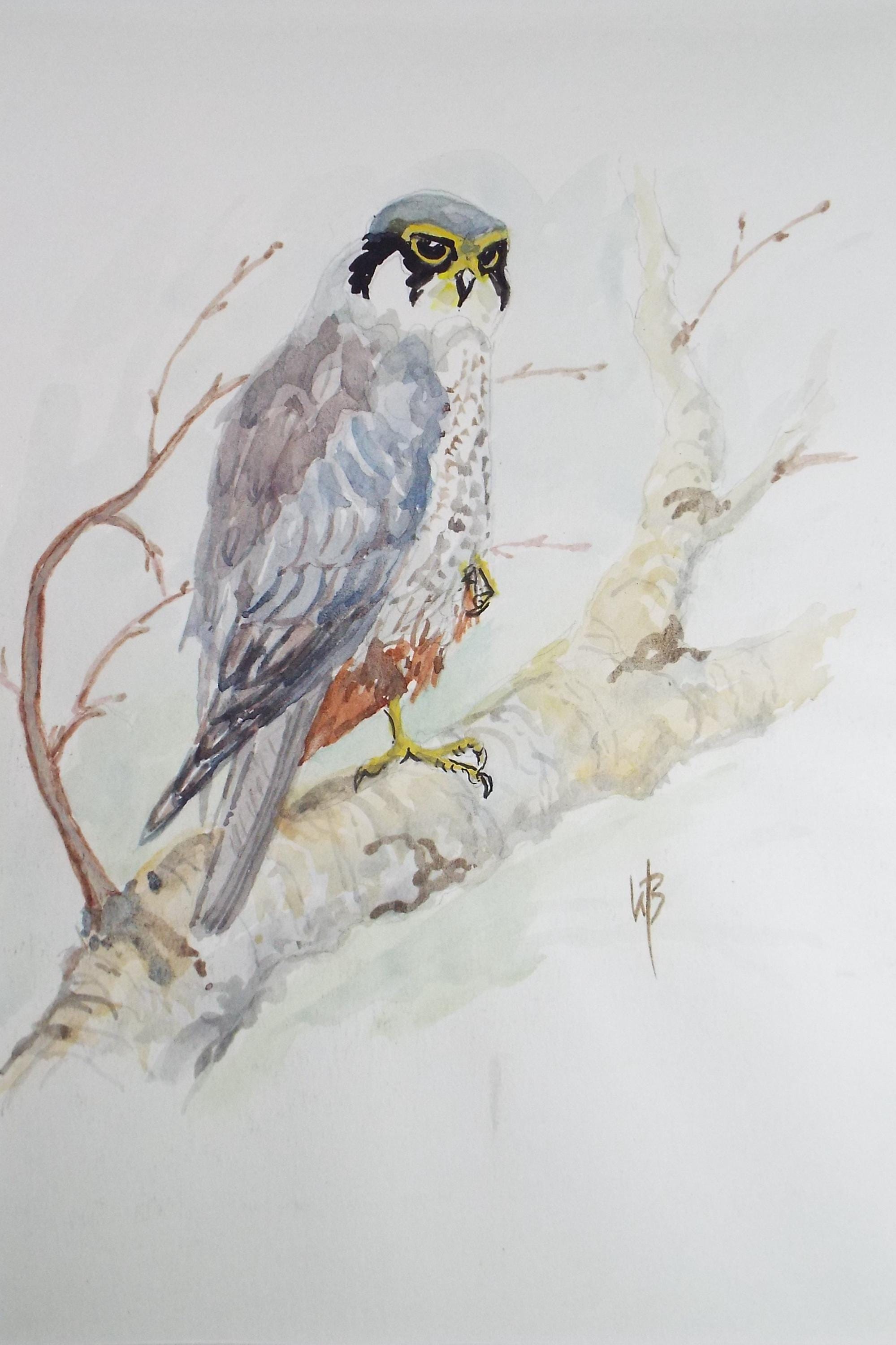 Original watercolour, 'Hobby', Circa 1970's, W. Brewer