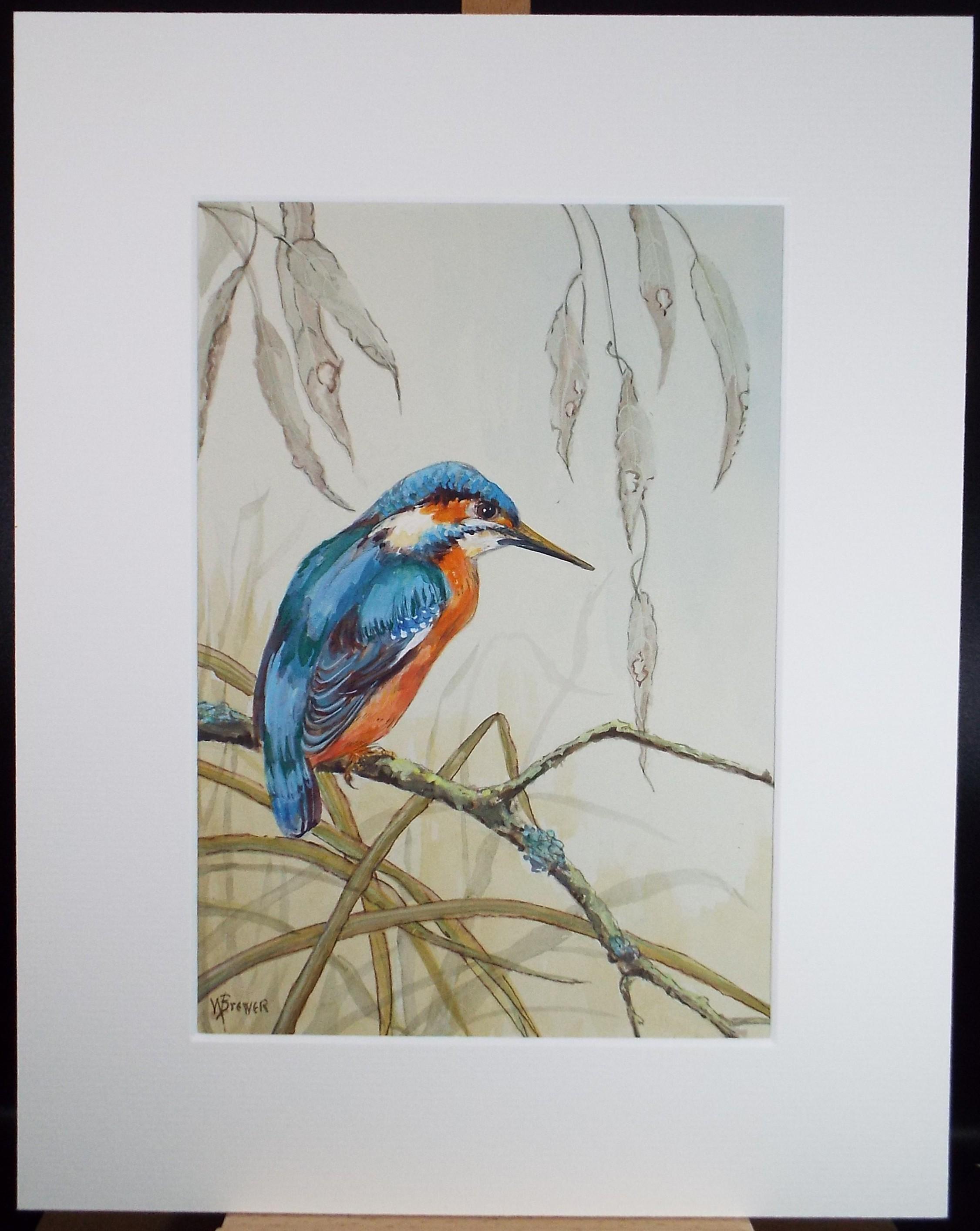 Original watercolour, 'Kingfisher', Circa 1970's, W. Brewer