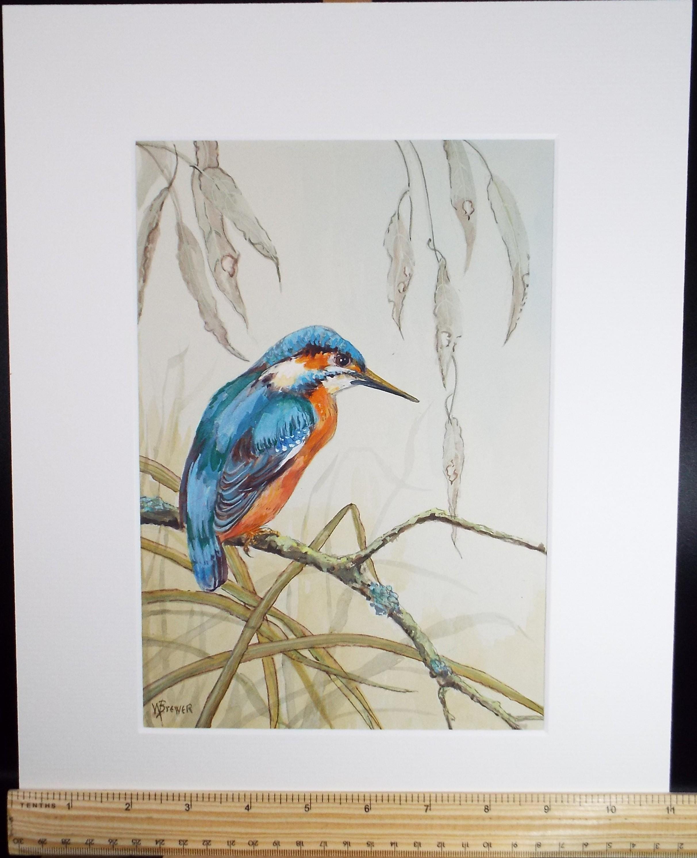 Original watercolour, 'Kingfisher', Circa 1970's, W. Brewer