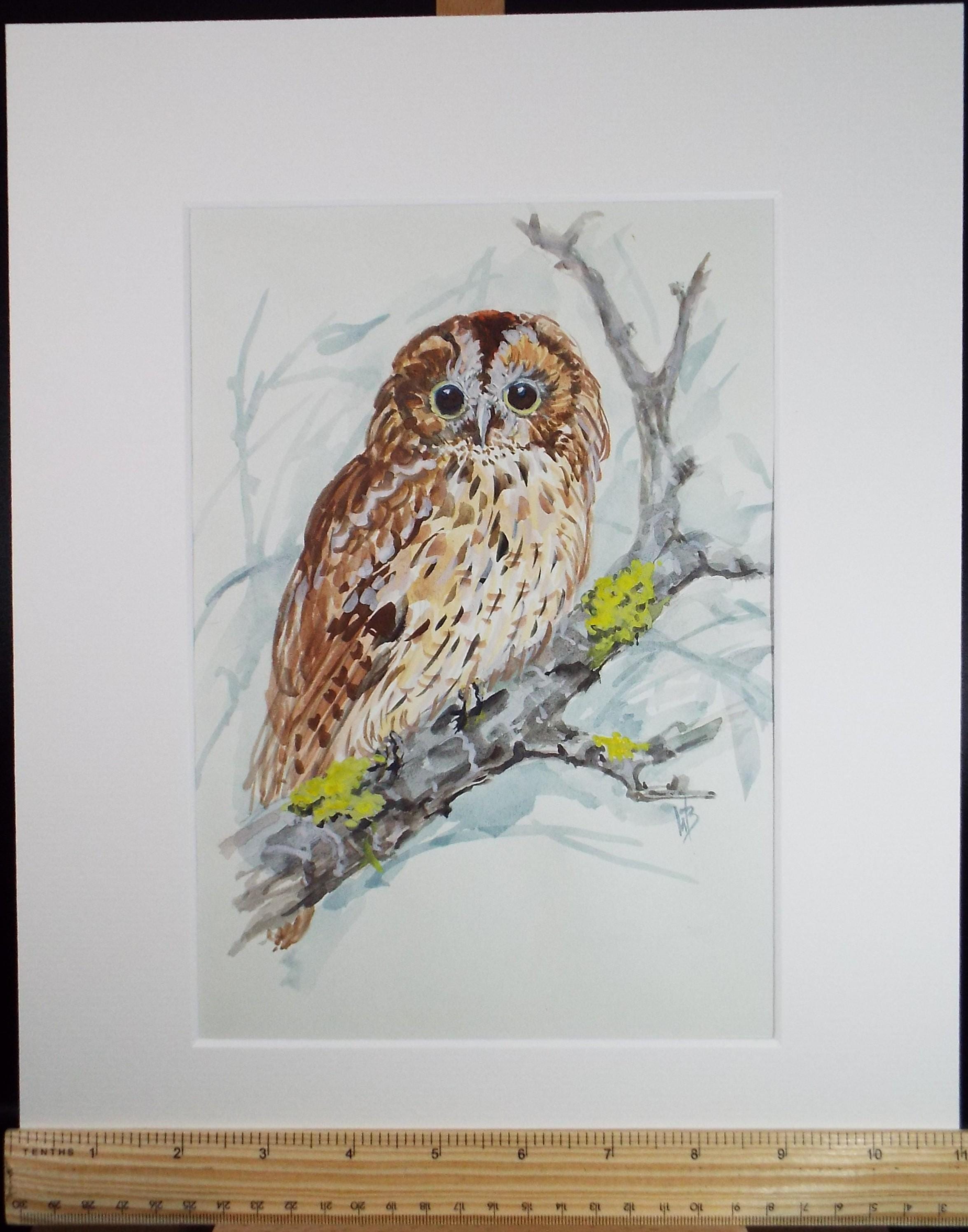 Original watercolour,'Tawny Owl', Circa 1970's, W. Brewer