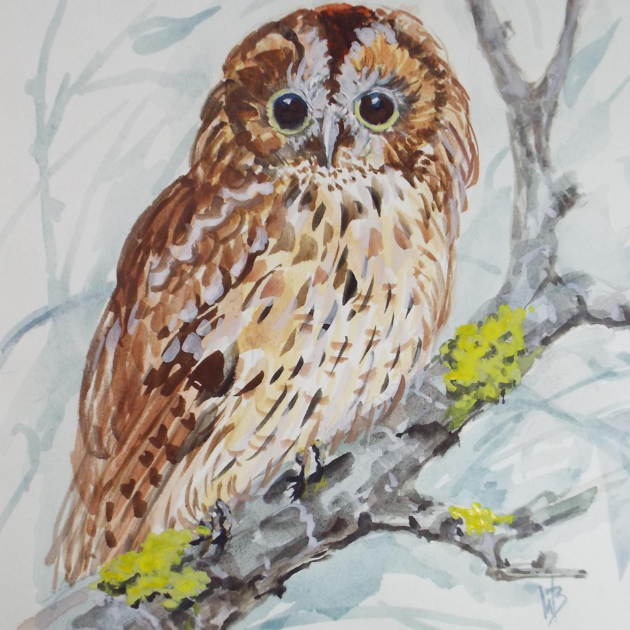 Original watercolour,'Tawny Owl', Circa 1970's, W. Brewer