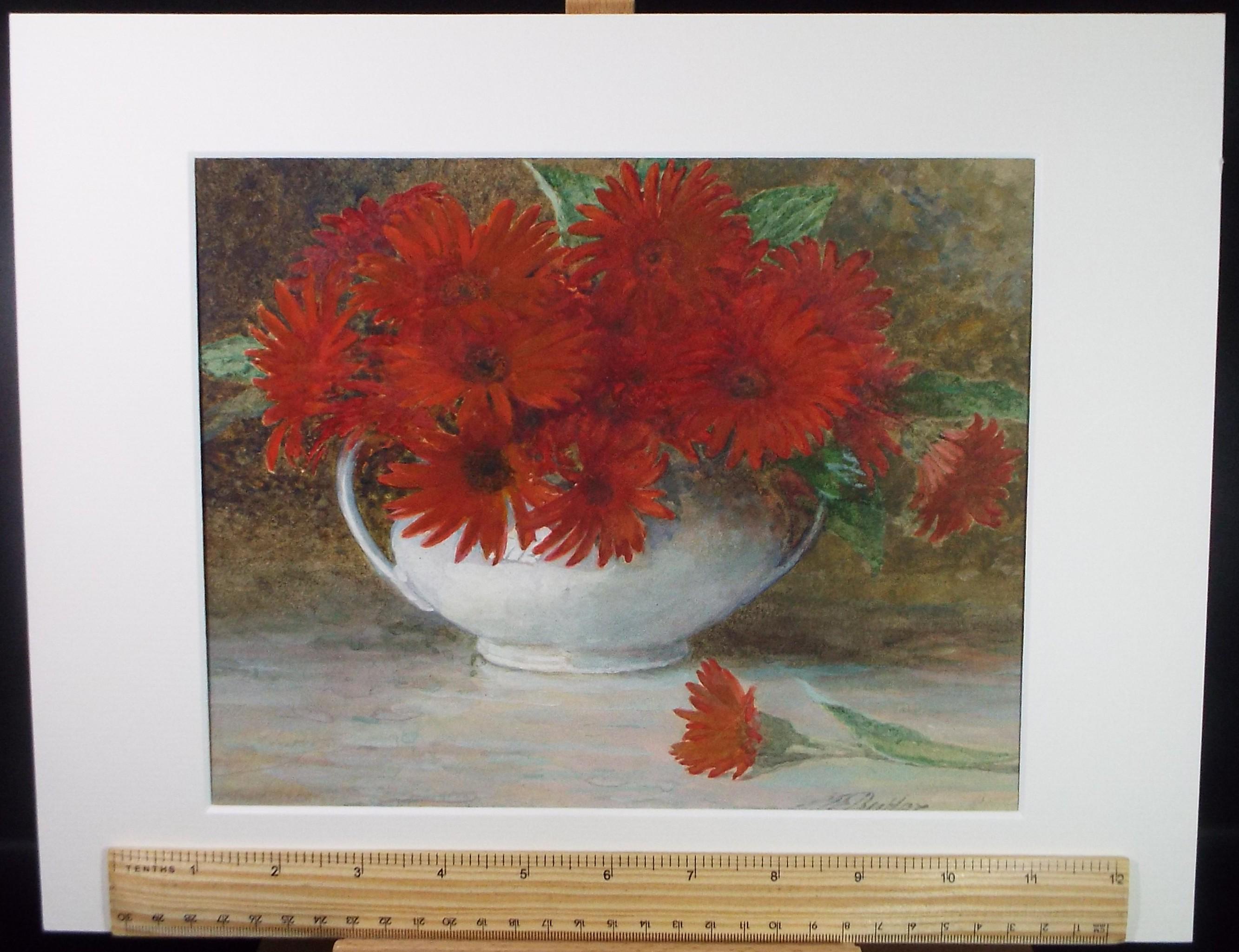 Original Watercolour & Gouache, 'Red Gerber Daisies', Circa 1910's, Signed Butler