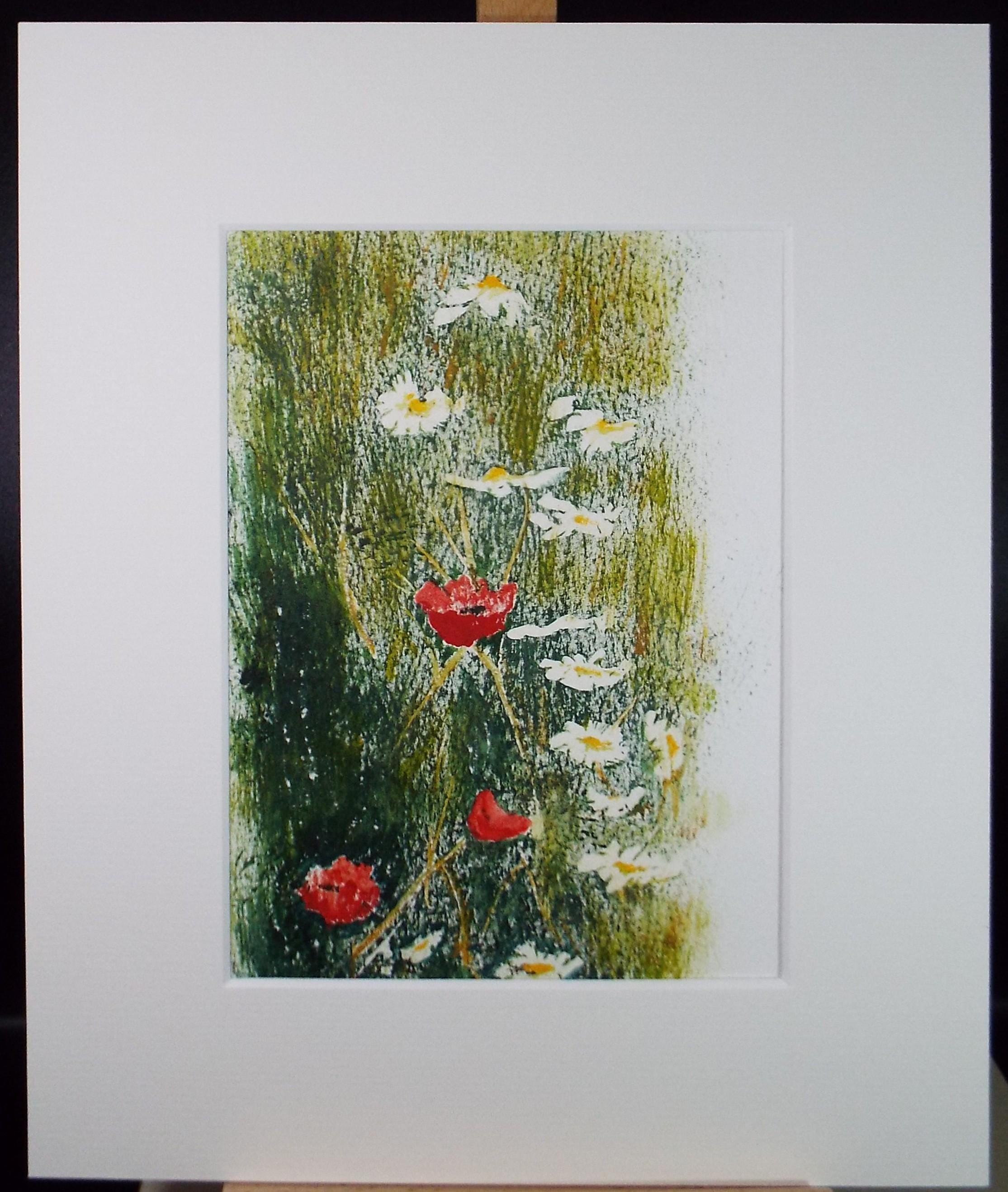 Original Watercolour & pastel, 'Study of Poppies and Daisies' 1990's, unknown artist