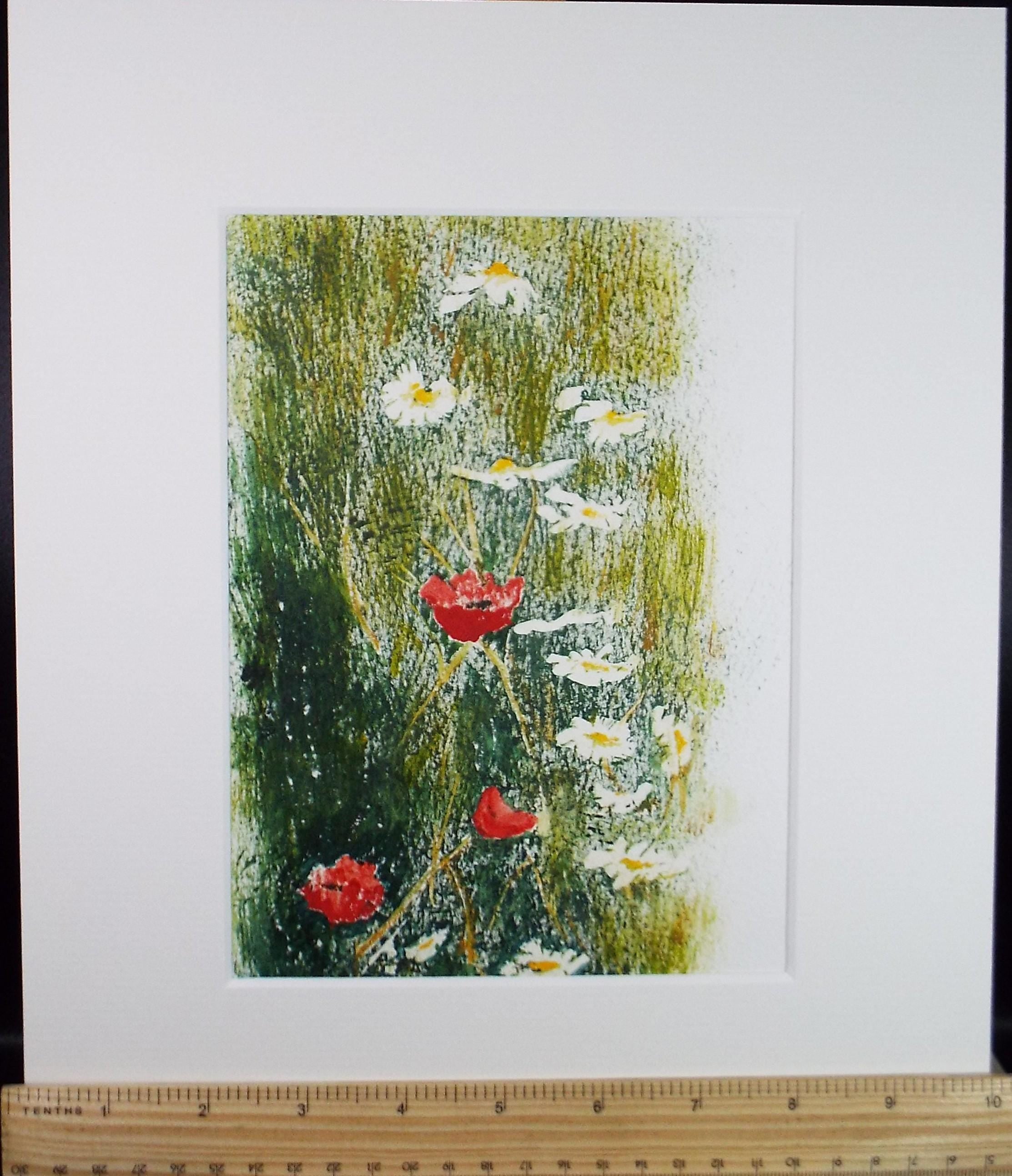 Original Watercolour & pastel, 'Study of Poppies and Daisies' 1990's, unknown artist