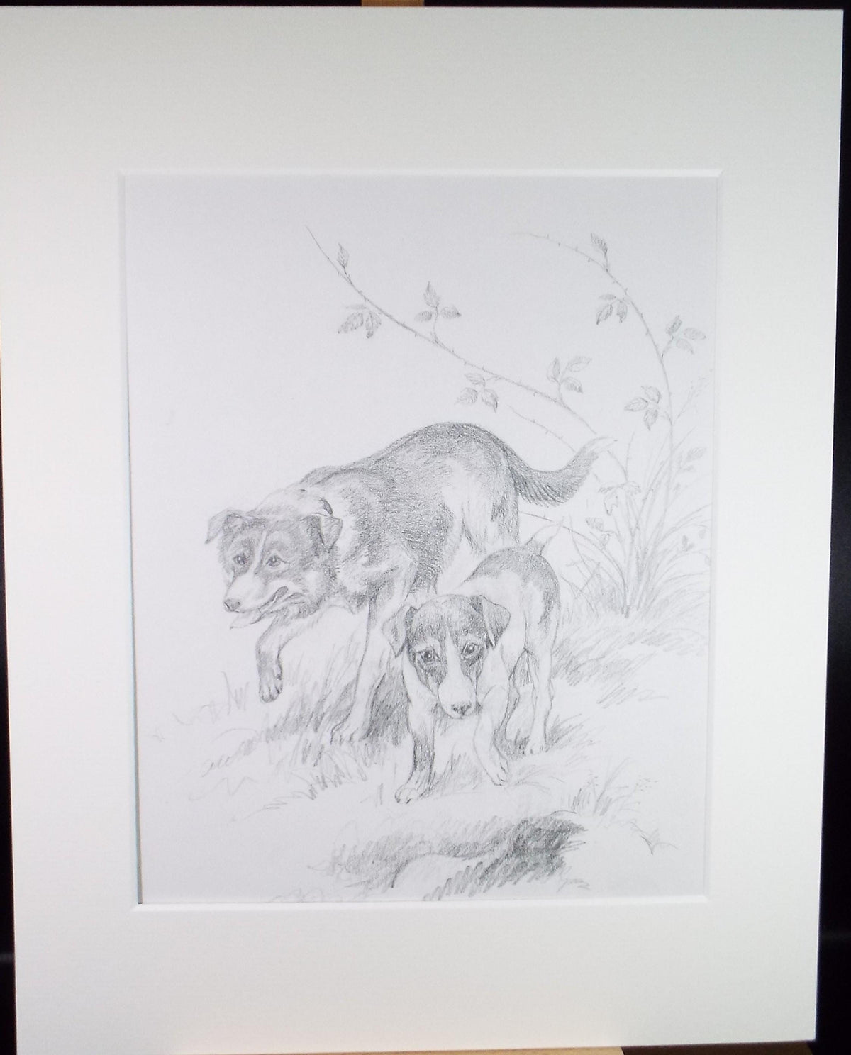 Original pencil drawing ,'Two Dogs', circa 1980's Unknown artist