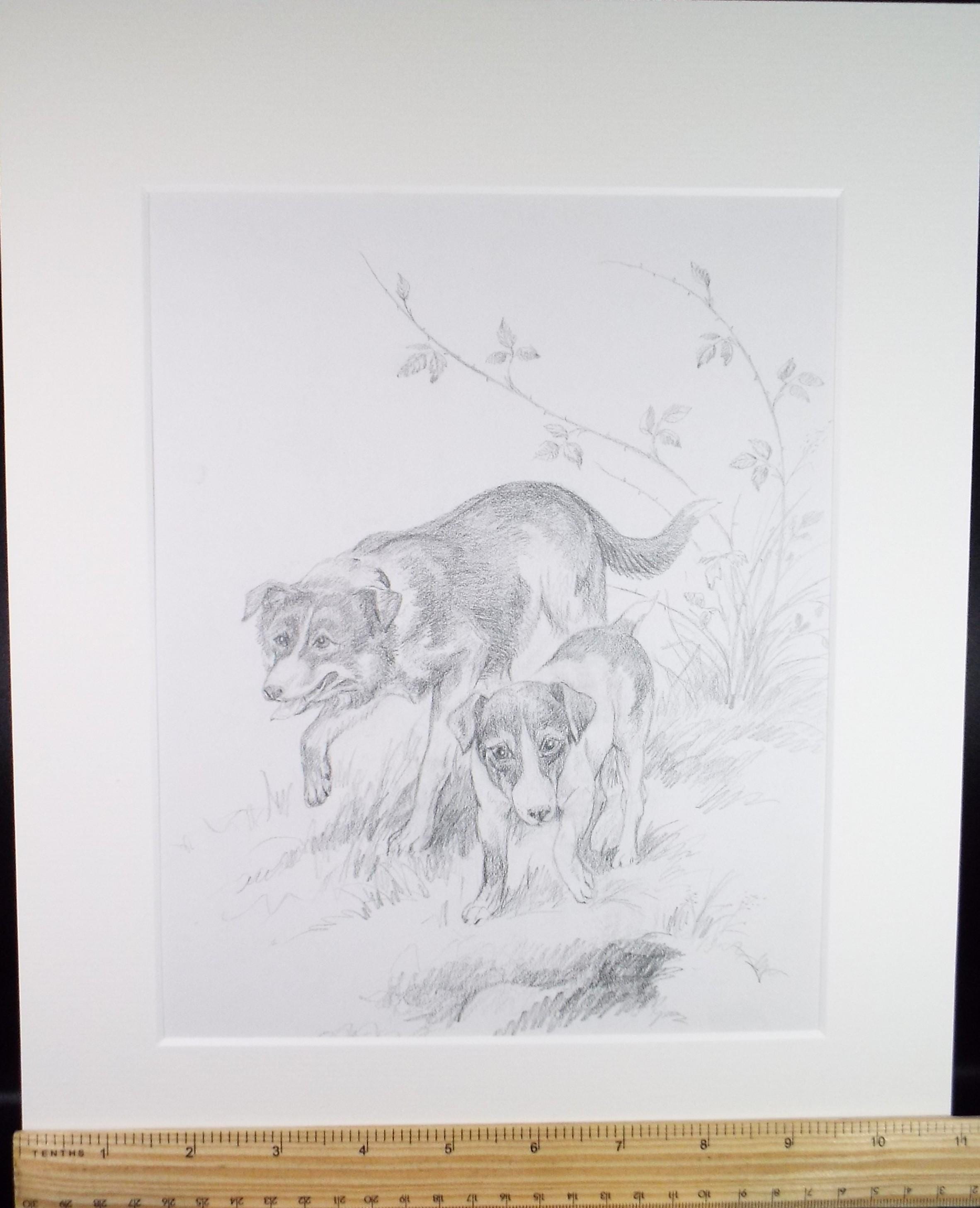 Original pencil drawing ,'Two Dogs', circa 1980's Unknown artist