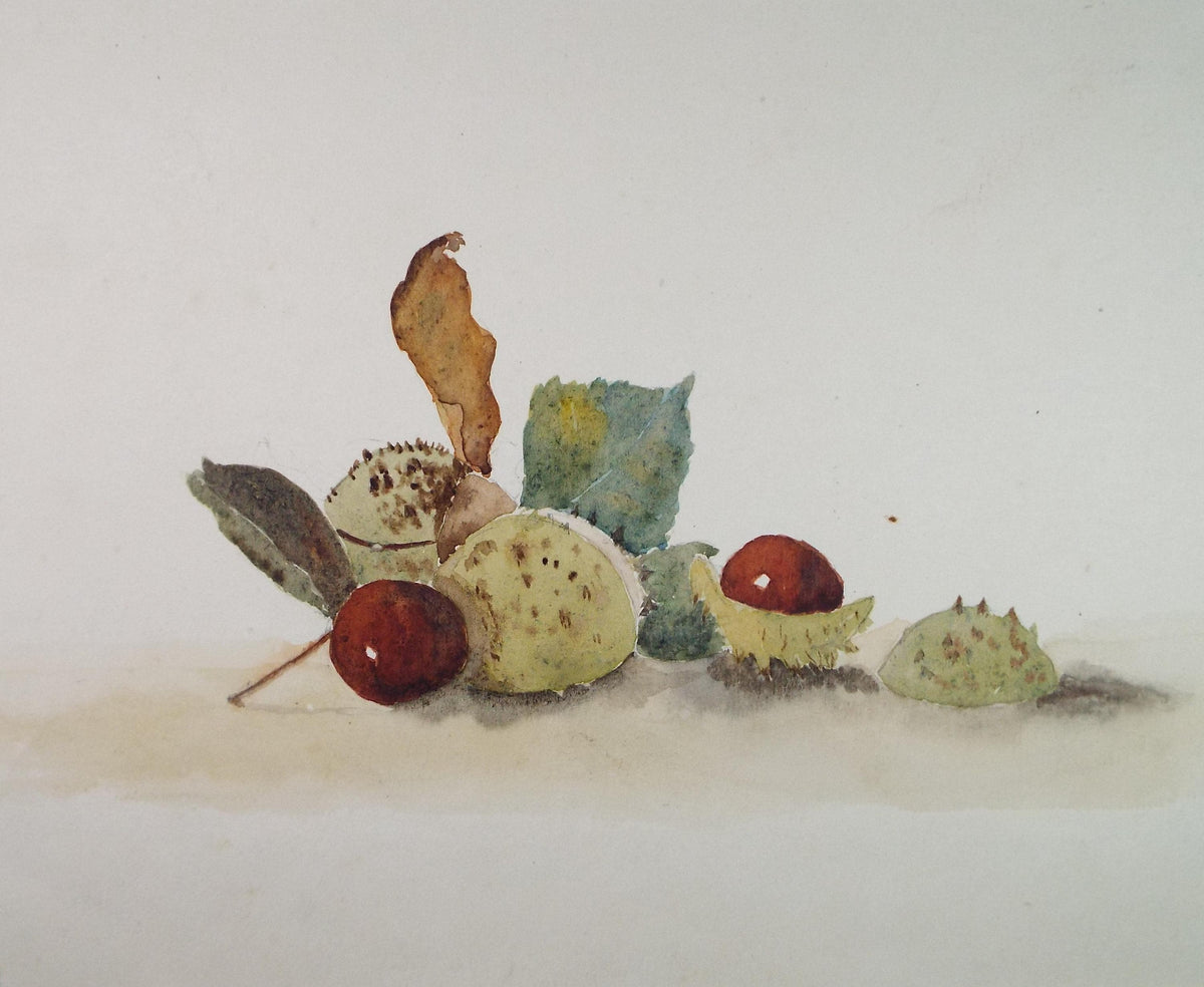 Original Watercolour, 'Still life of horse chestnuts', Circa 1950's, unknown artist