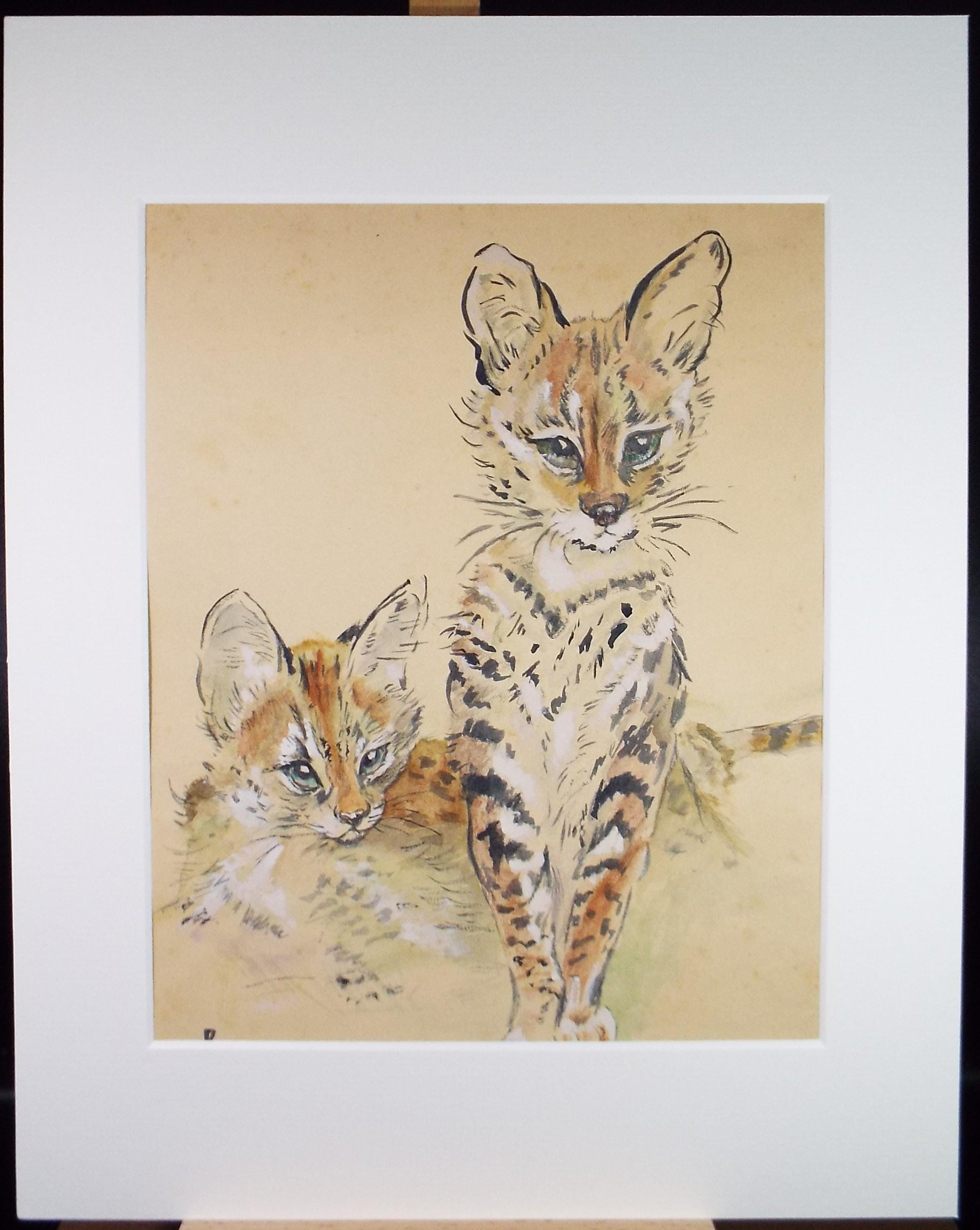 Watercolour Painting , 'Serval Kittens', Unknown Artist, Circa 1950's