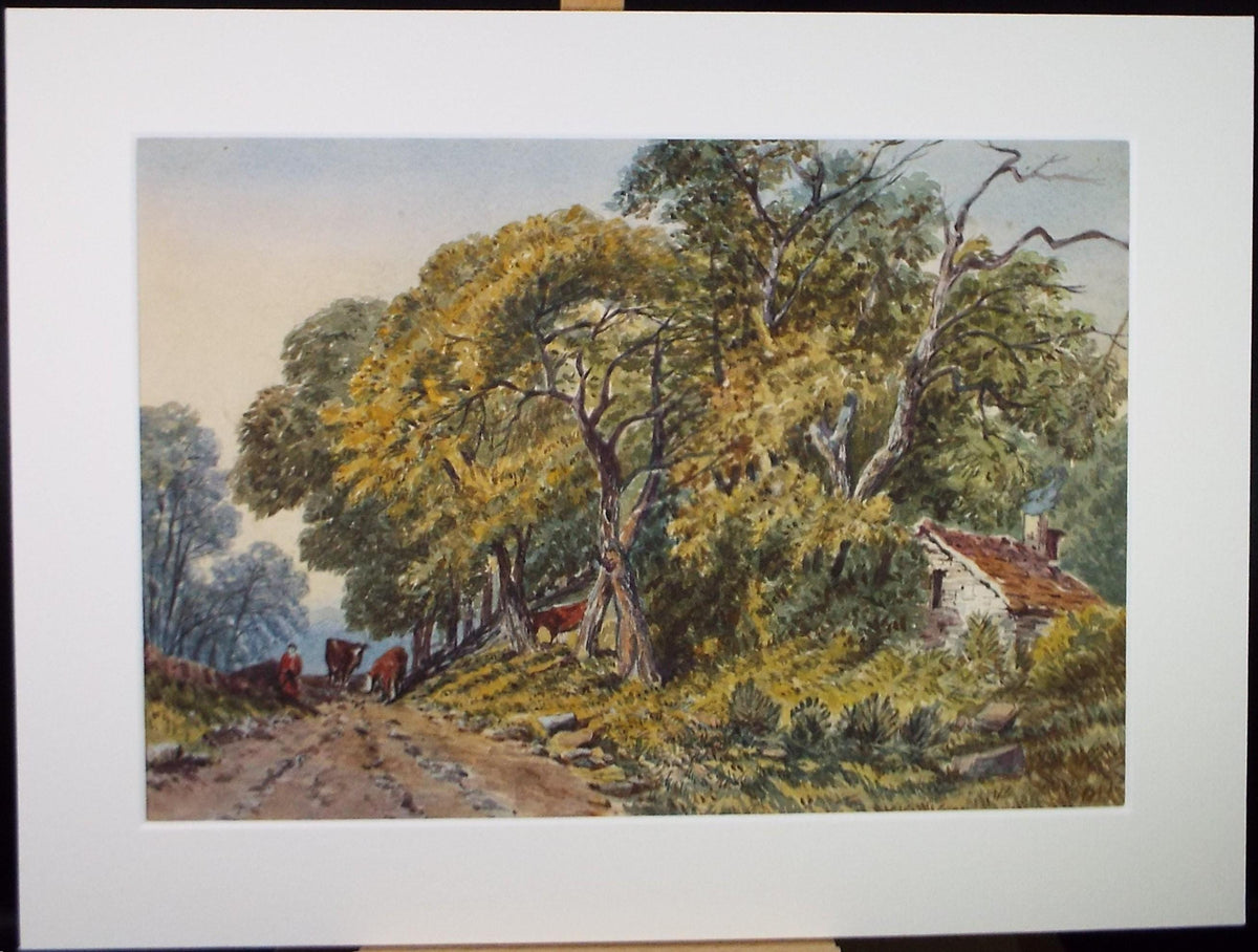Original Watercolour, 'Cattle in Woodland' Late 19th Century, Artist Unknown