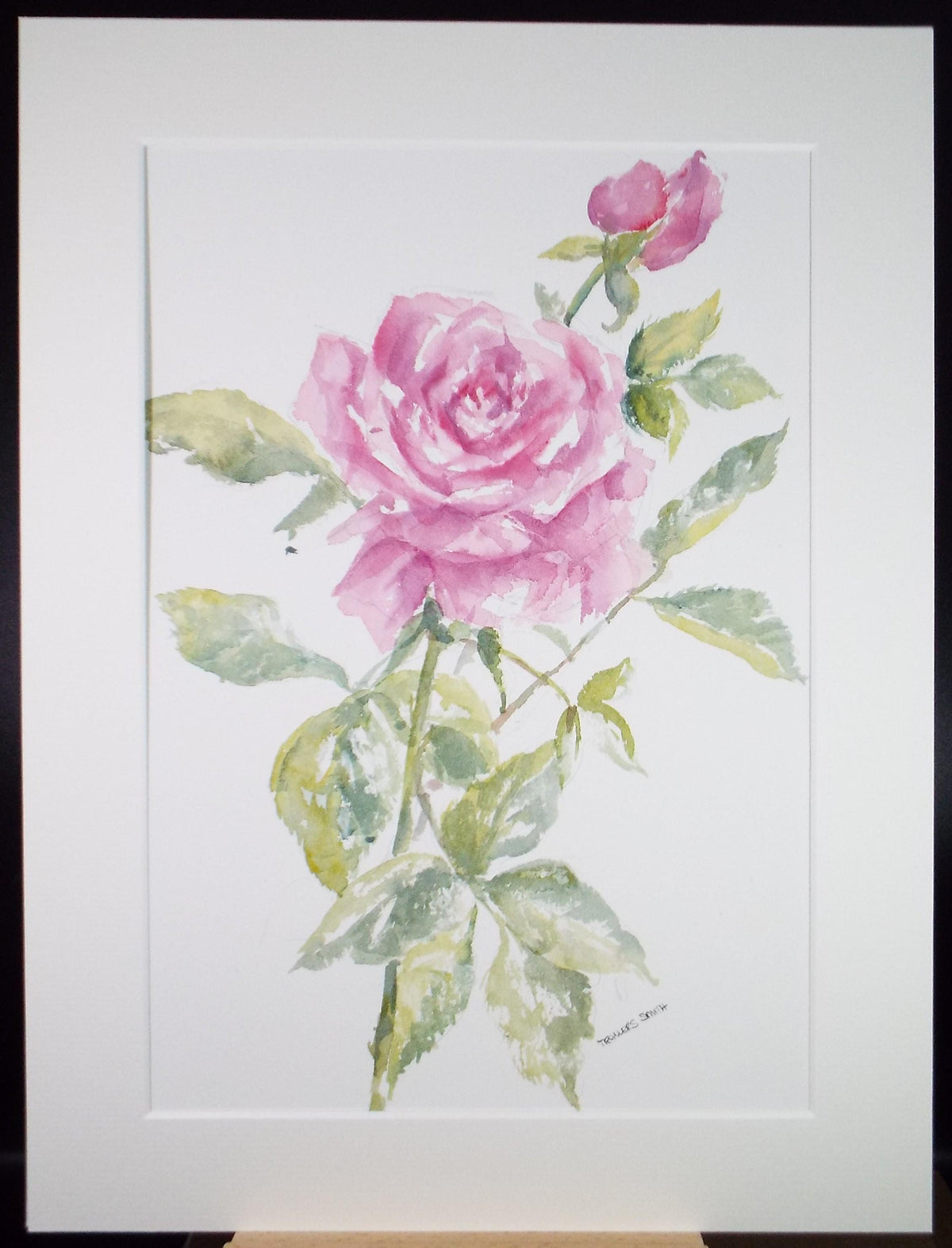 Original Watercolour, 'Still Life of Rose' 1990's, Dorothea Travers-Smith