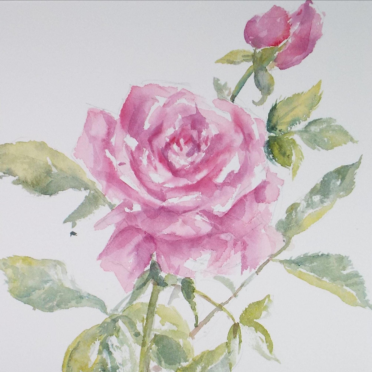 Original Watercolour, 'Still Life of Rose' 1990's, Dorothea Travers-Smith
