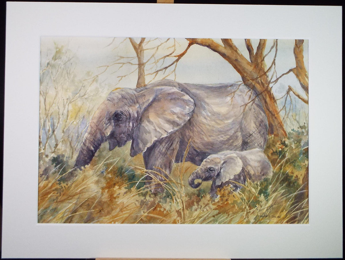 Original Watercolour, 'African Elephants' circa 1990's, Dorothea Travers-Smith,