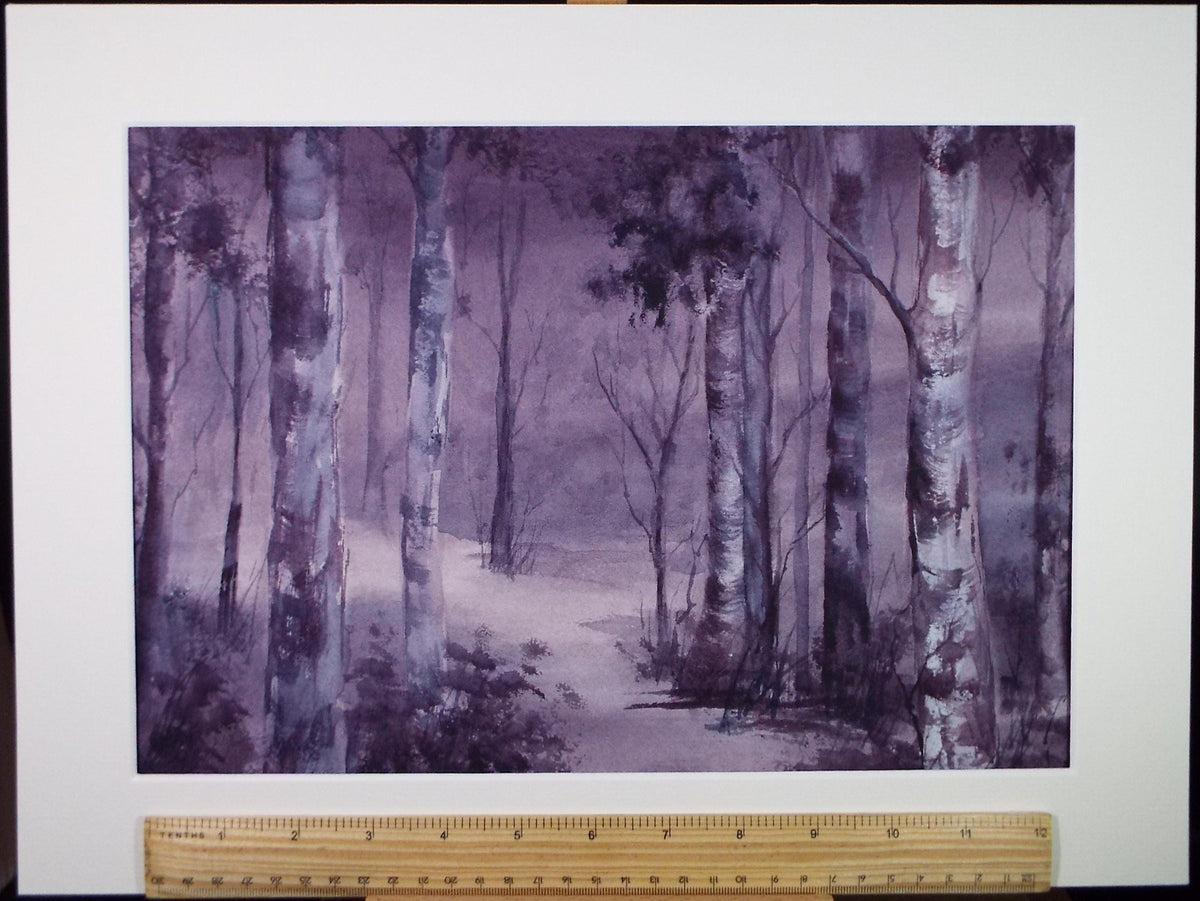 Original Watercolour 'Study of Birch Trees', c1990's , Dorothea Travers-Smith
