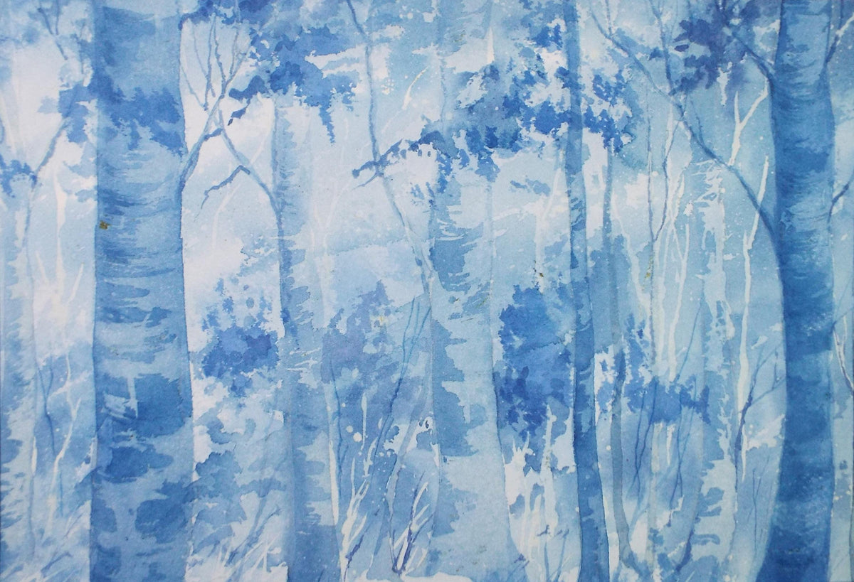 Original Watercolour 'Study of Birch Trees', c1990's , Dorothea Travers-Smith
