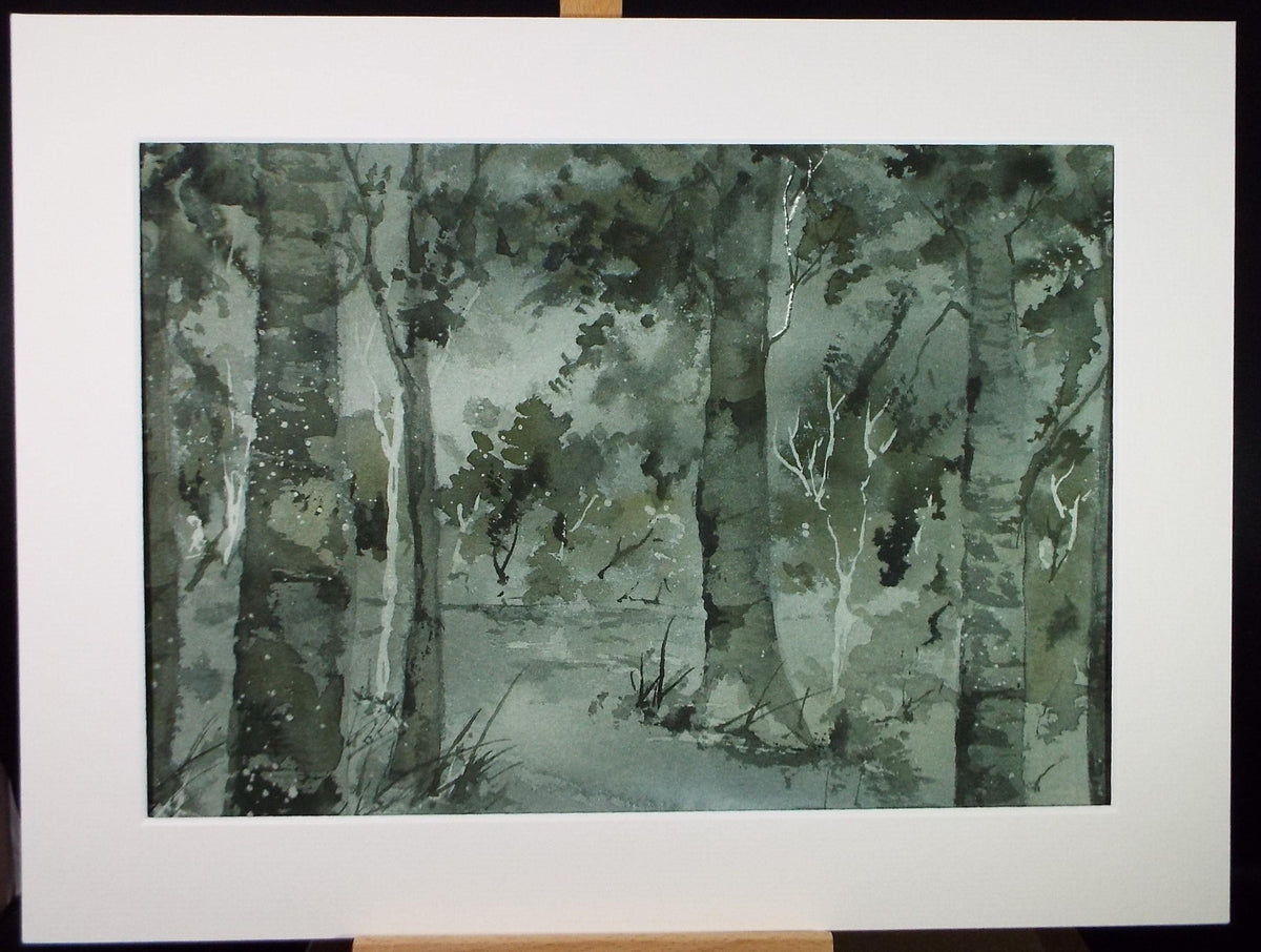 Original Watercolour 'Study of Birch Trees', c1990's , Dorothea Travers-Smith