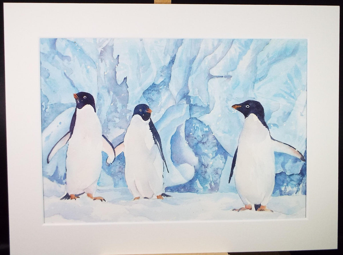Original watercolour 'Muscovy Duck', George Godfrey, Circa 1960's