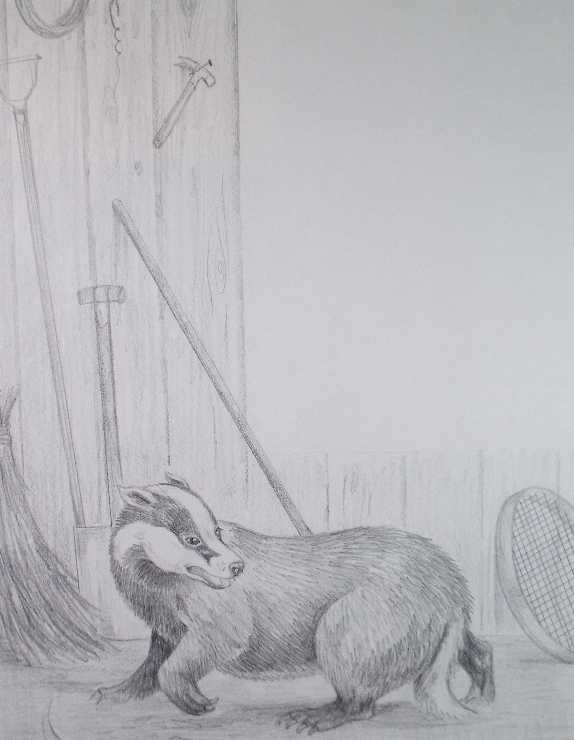 Original Pencil Drawing, 'Badger by the tool shed', circa 1980's, Artist unknown