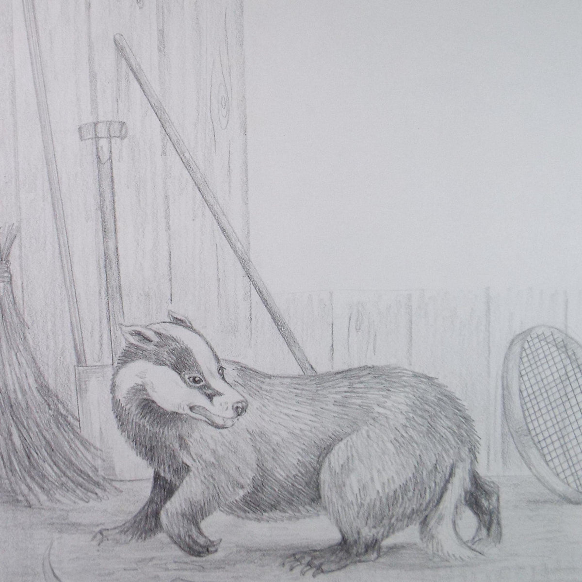Original Pencil Drawing, 'Badger by the tool shed', circa 1980's, Artist unknown