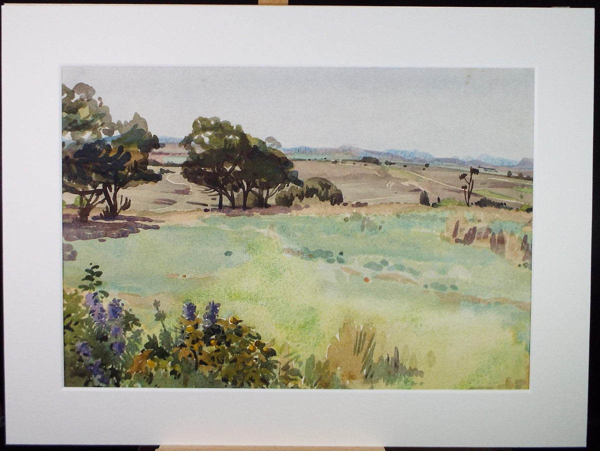 Original Watercolour, 'The Common', Circa 1980's, Artist Unknown