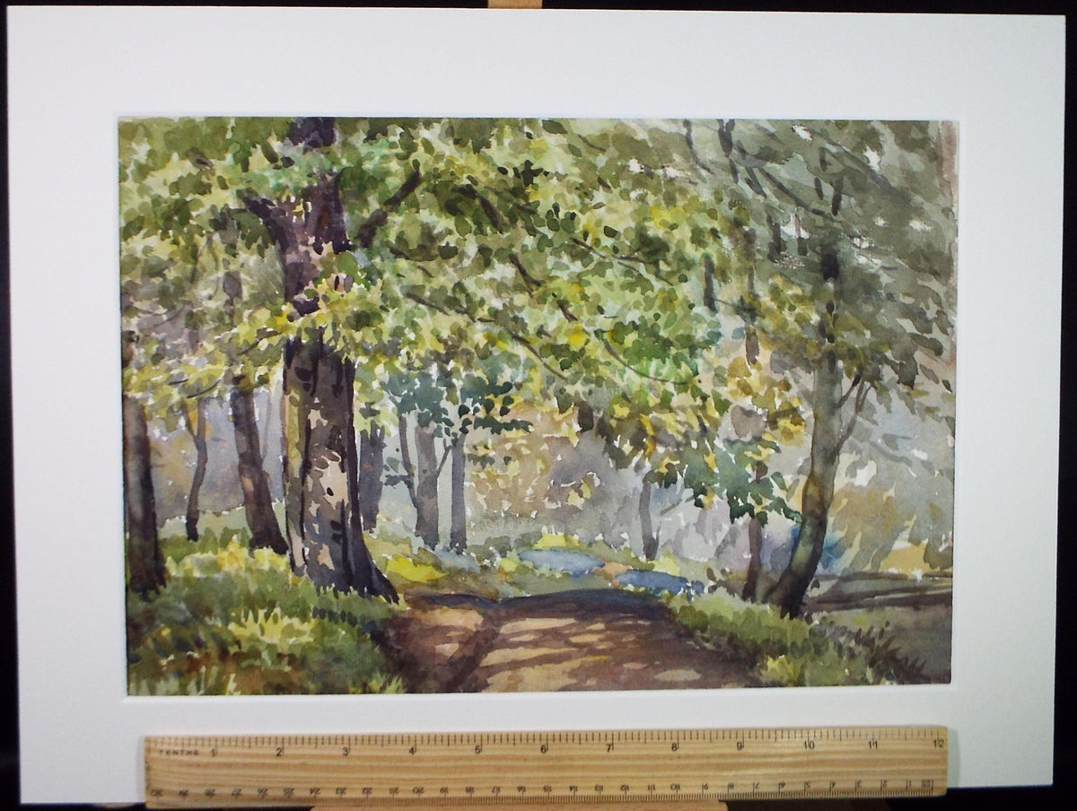 Original Watercolour 'A track through woodland', Circa 1960's, Richard A Siddall