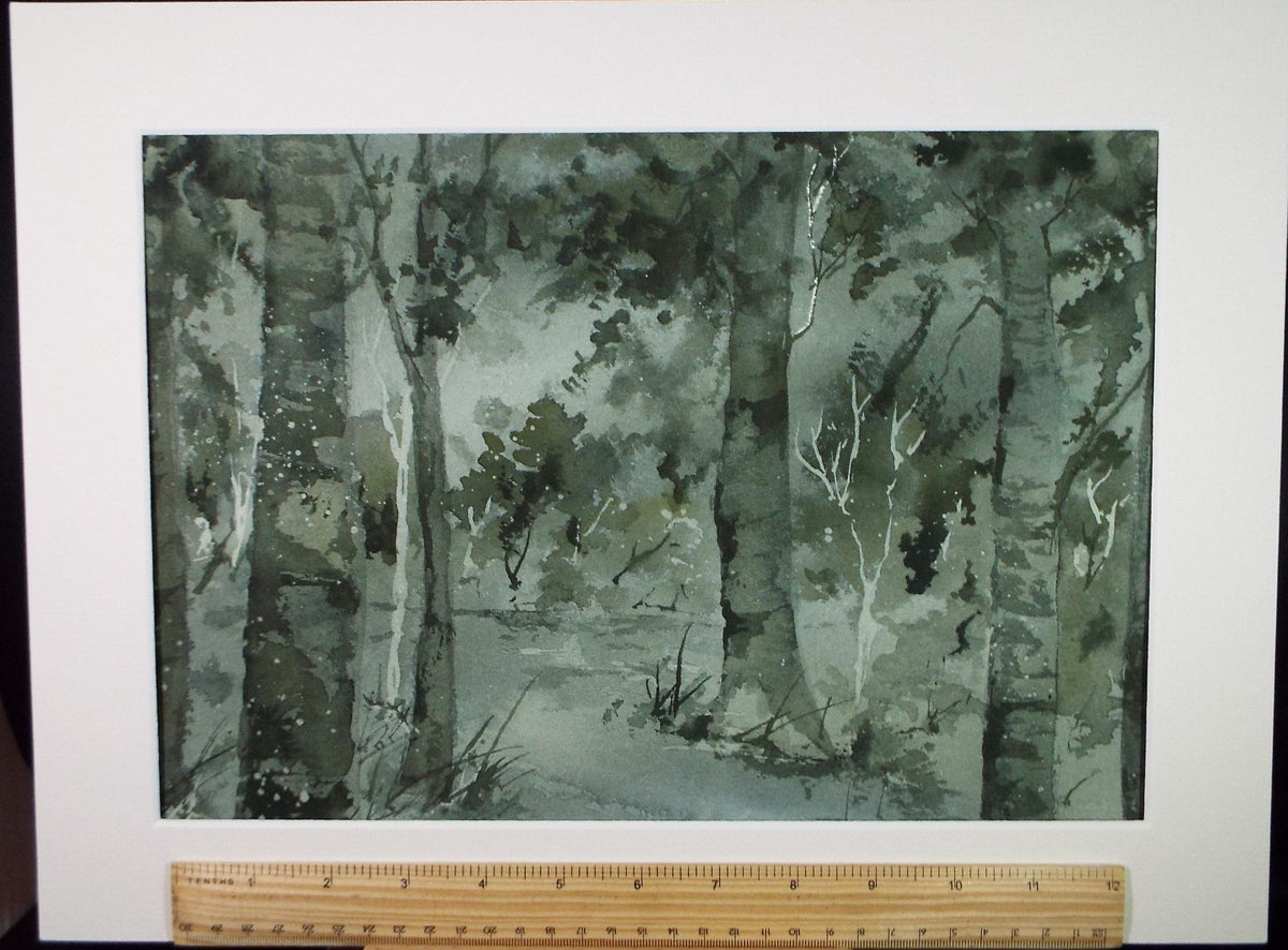 Original Watercolour 'Study of Birch Trees', c1990's , Dorothea Travers-Smith