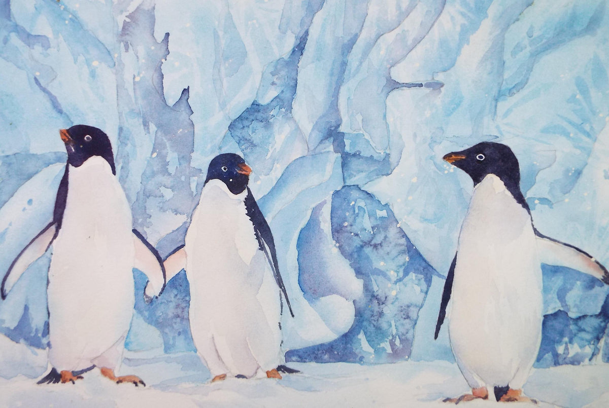 Original watercolour 'Muscovy Duck', George Godfrey, Circa 1960's