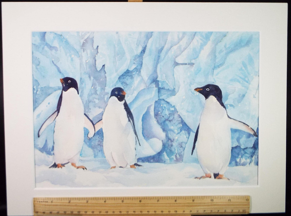 Original watercolour 'Muscovy Duck', George Godfrey, Circa 1960's