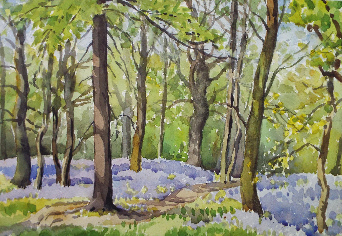 Original Watercolour 'Bluebell Wood', Circa 1950's, Richard A Siddall