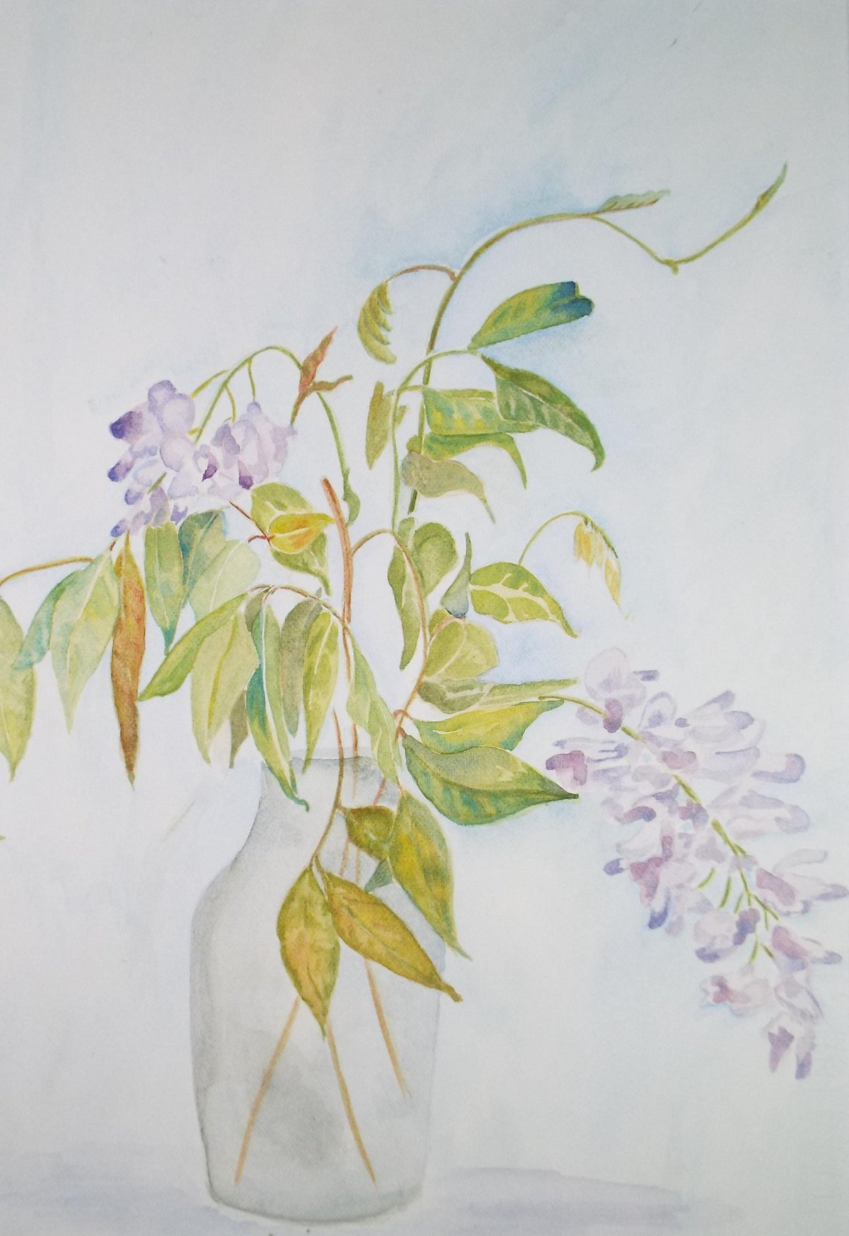 Original Watercolour, 'Still Life of wisteria', Dated 1984 ,Unknown Artist