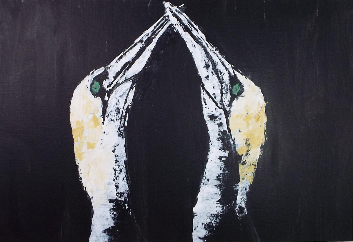 Original acrylic painting 'Pair of Gannets', Unknown Artist, Circa 1980's