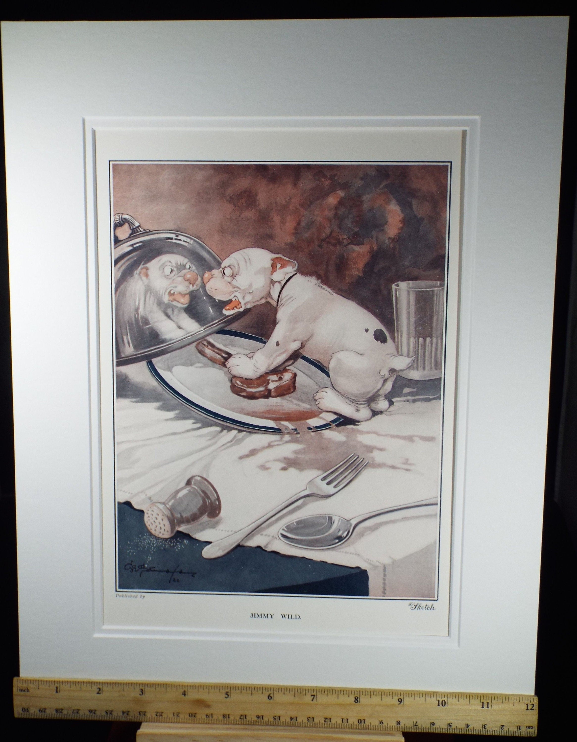 Bonzo the Dog - G. E Studdy, 'Jimmy Wild', Vintage 1920's Print, Large in size, Published by 'The Sketch' magazine - Not a Modern Copy