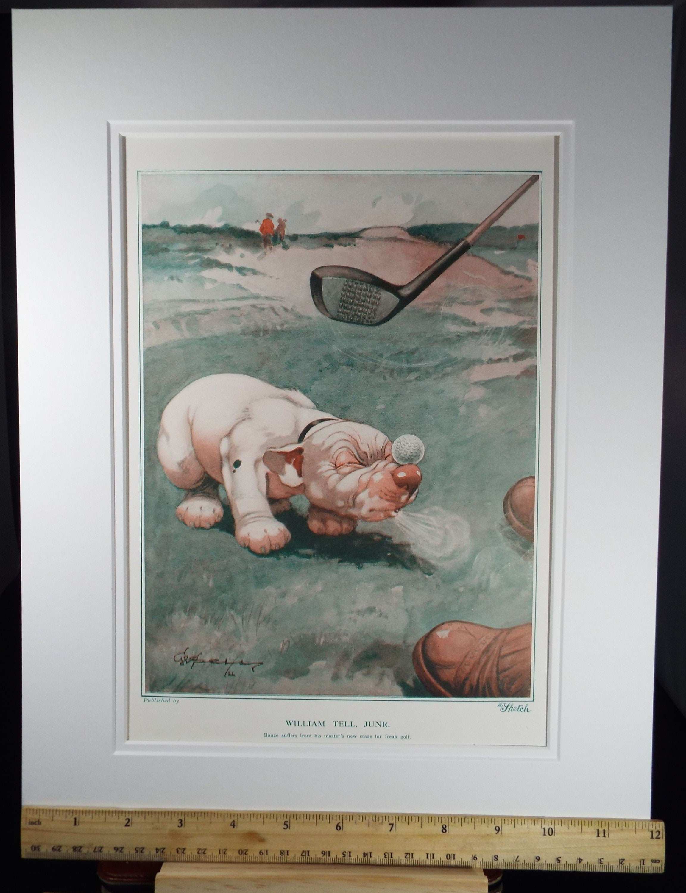 Bonzo the Dog - G. E Studdy, 'William Tell, Junr.', Vintage 1920's Print, Large in size, Published by 'The Sketch' magazine