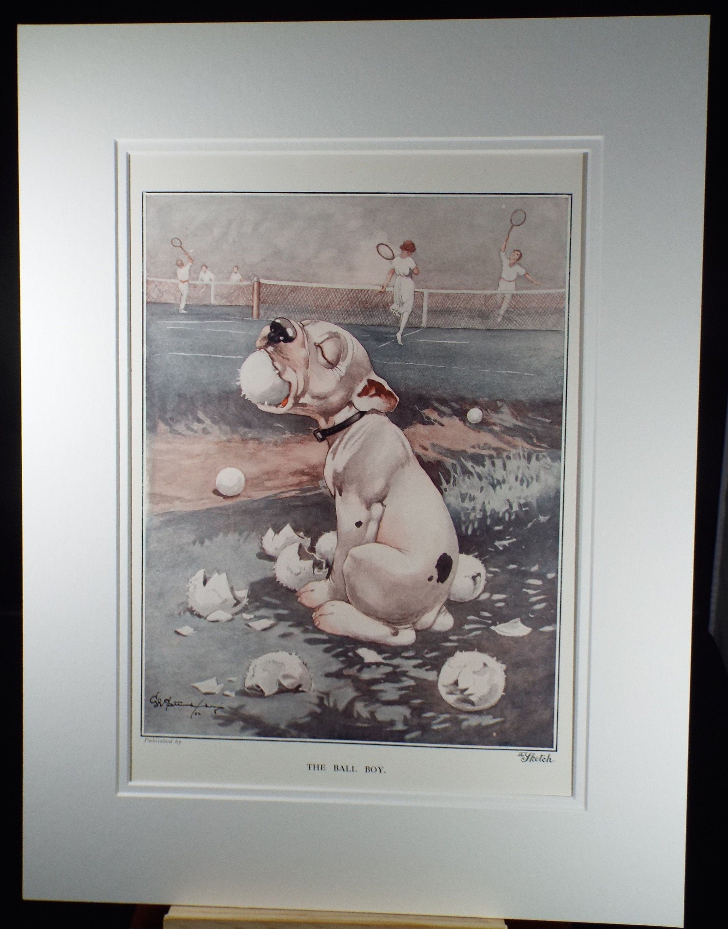 Bonzo the Dog - G. E Studdy, 'The Ball Boy', Vintage 1920's Print, Large in size, Published by 'The Sketch' magazine