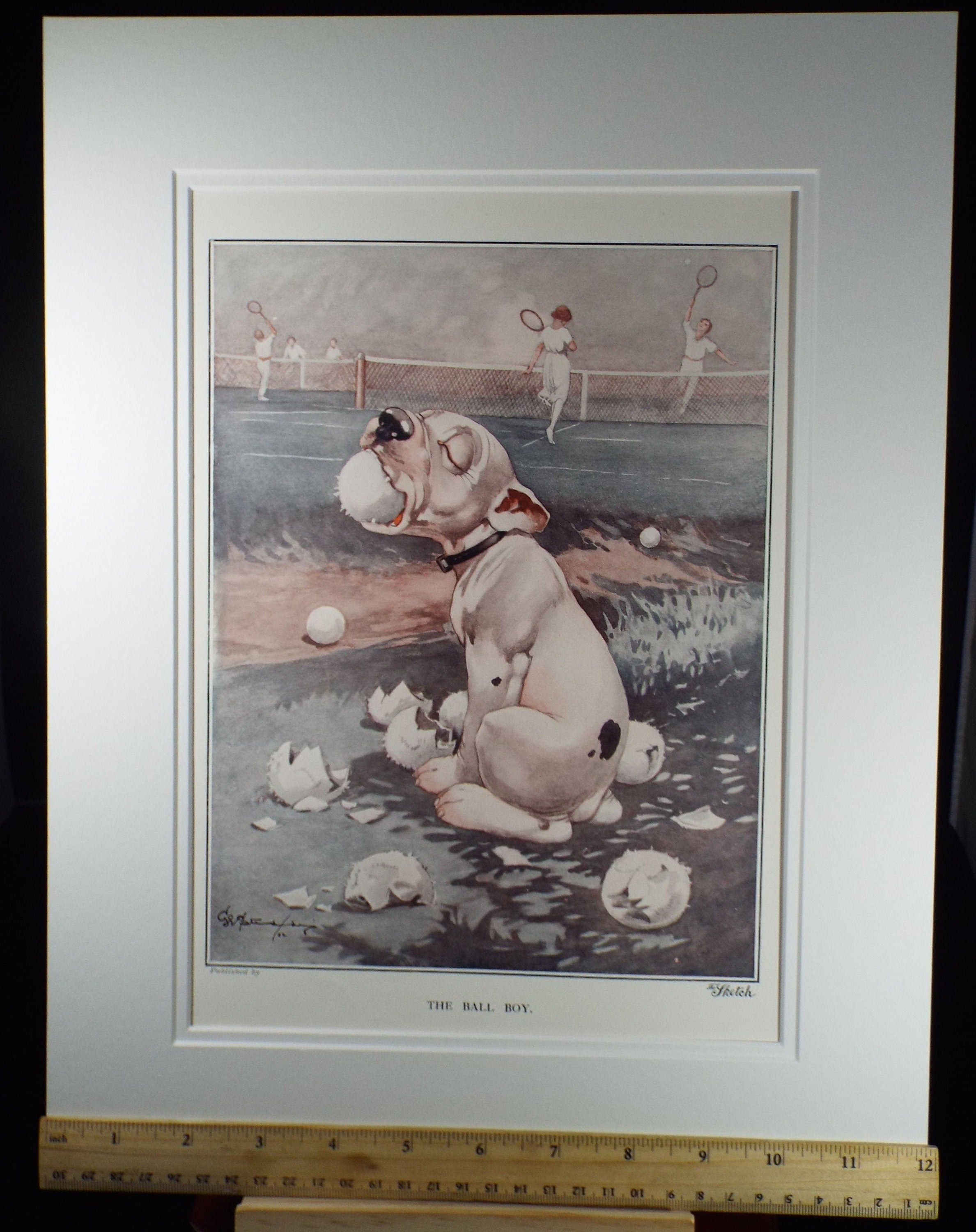 Bonzo the Dog - G. E Studdy, 'The Ball Boy', Vintage 1920's Print, Large in size, Published by 'The Sketch' magazine