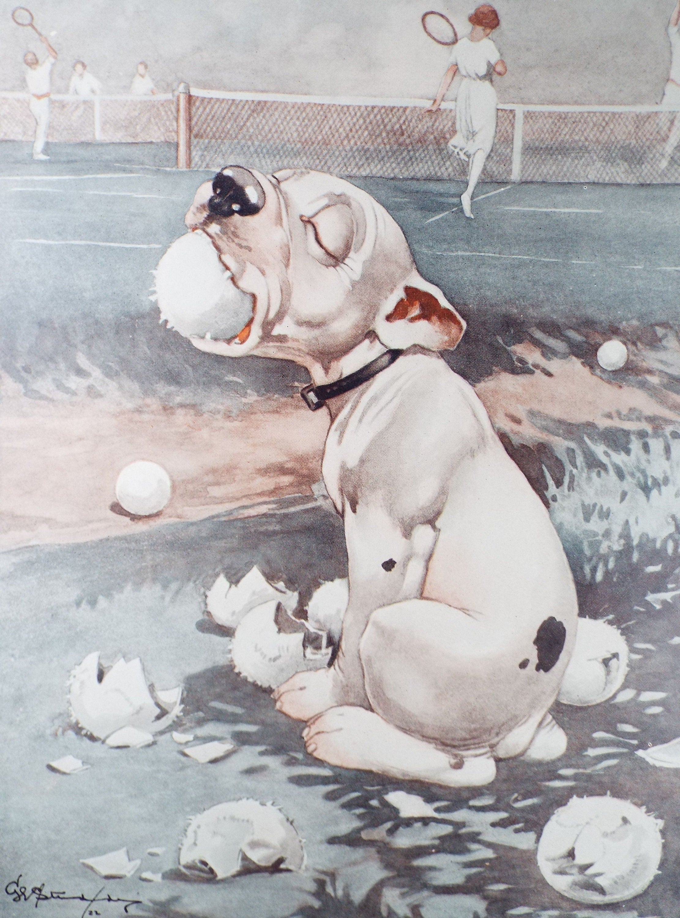 Bonzo the Dog - G. E Studdy, 'The Ball Boy', Vintage 1920's Print, Large in size, Published by 'The Sketch' magazine